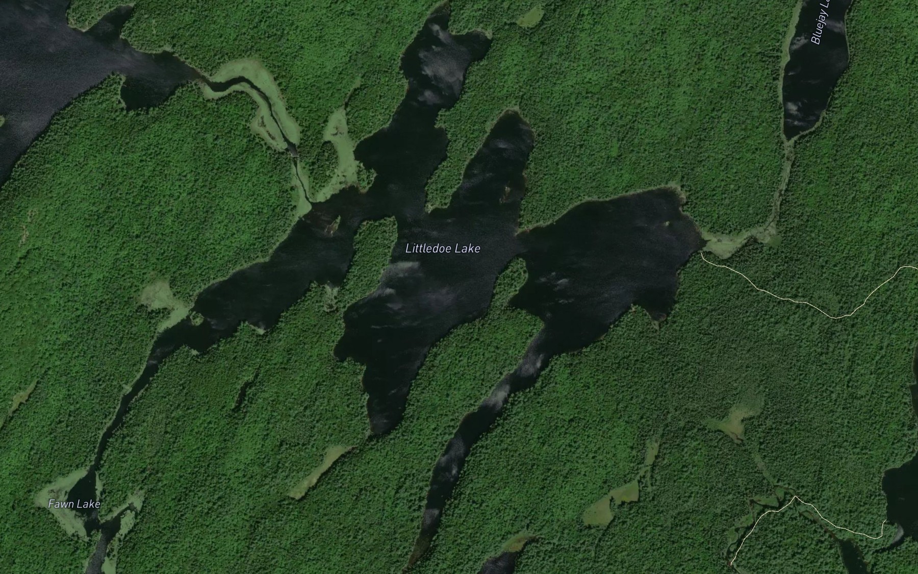 Satellite map of the Littledoe Lake