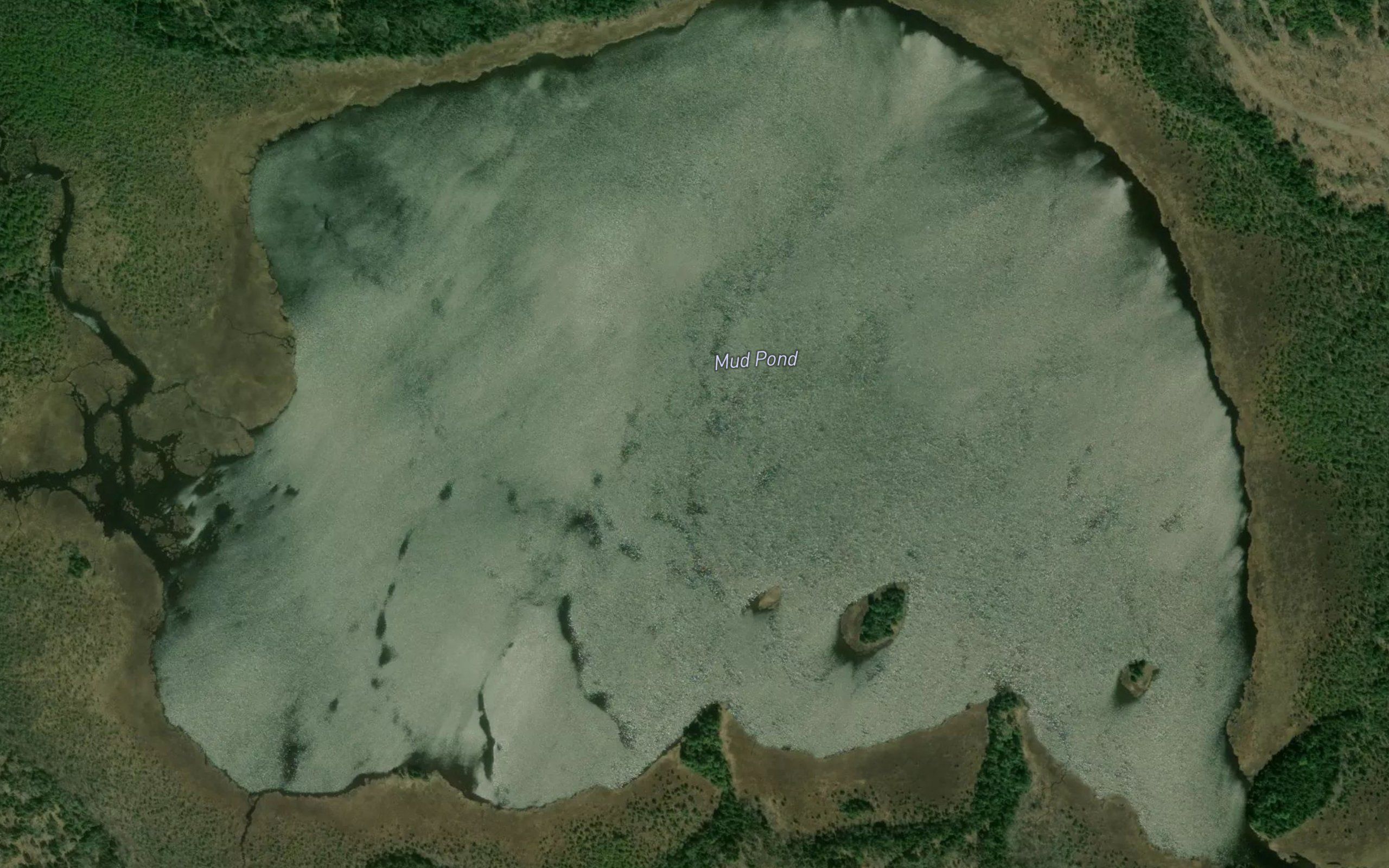 Mud Pond