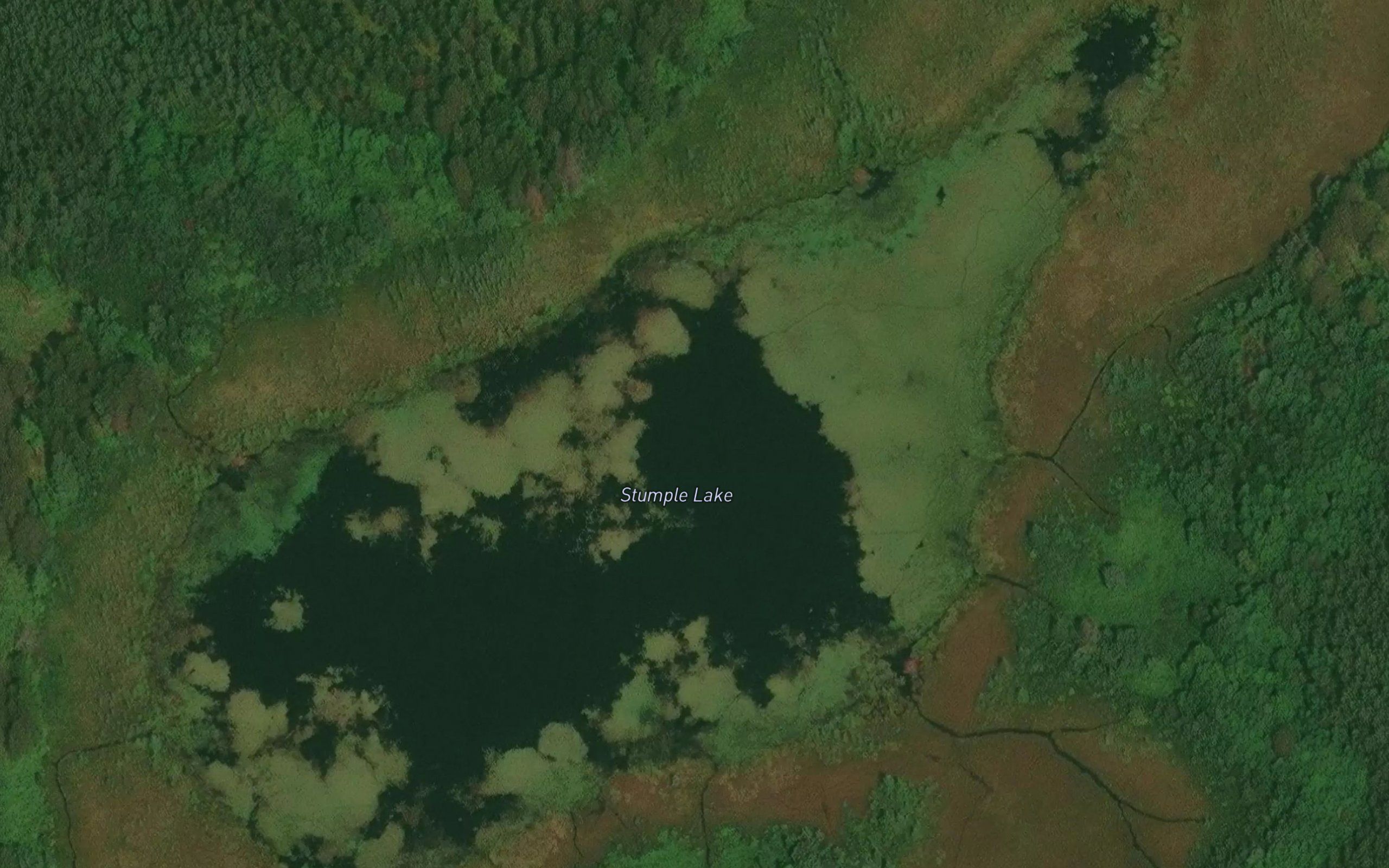 Stumple Lake