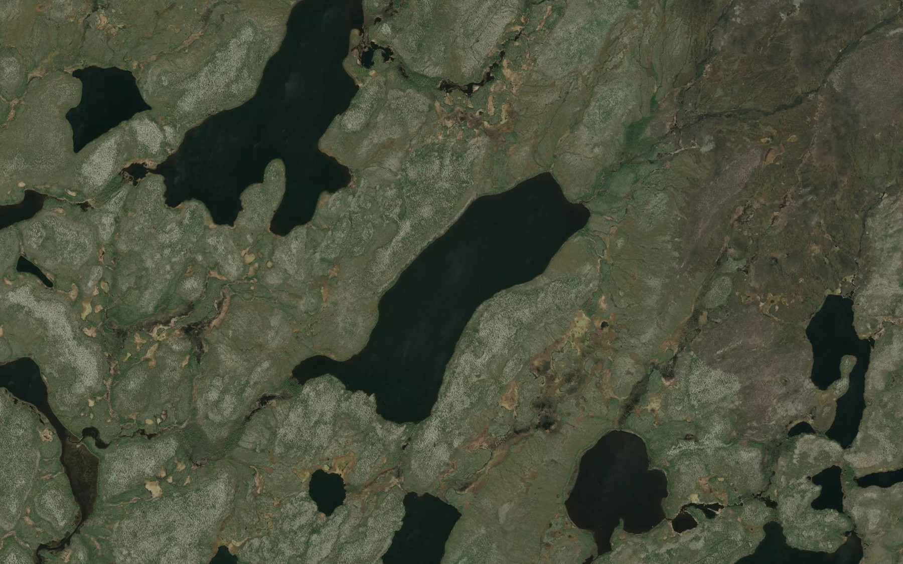 Satellite map of the Piedalue Lake