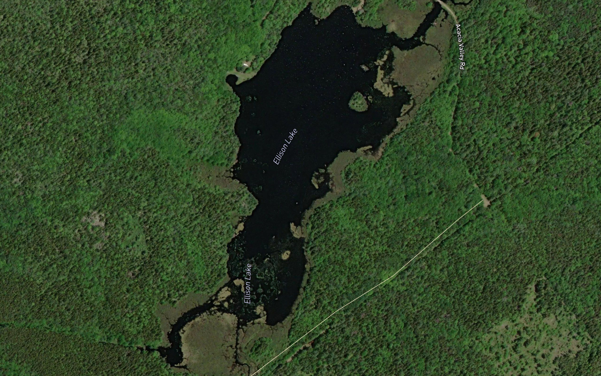 Ellison Lake