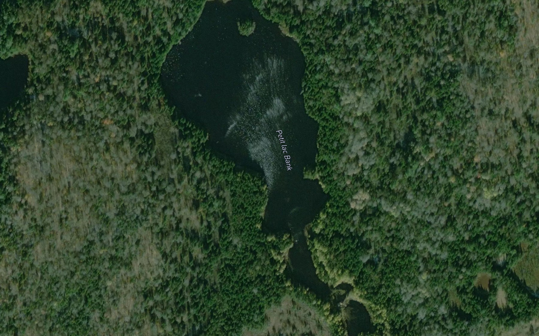 Satellite map of the Petit lac Bank