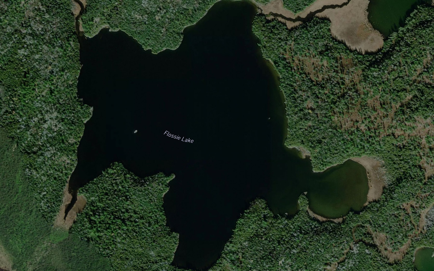 Satellite map of the Flossie Lake