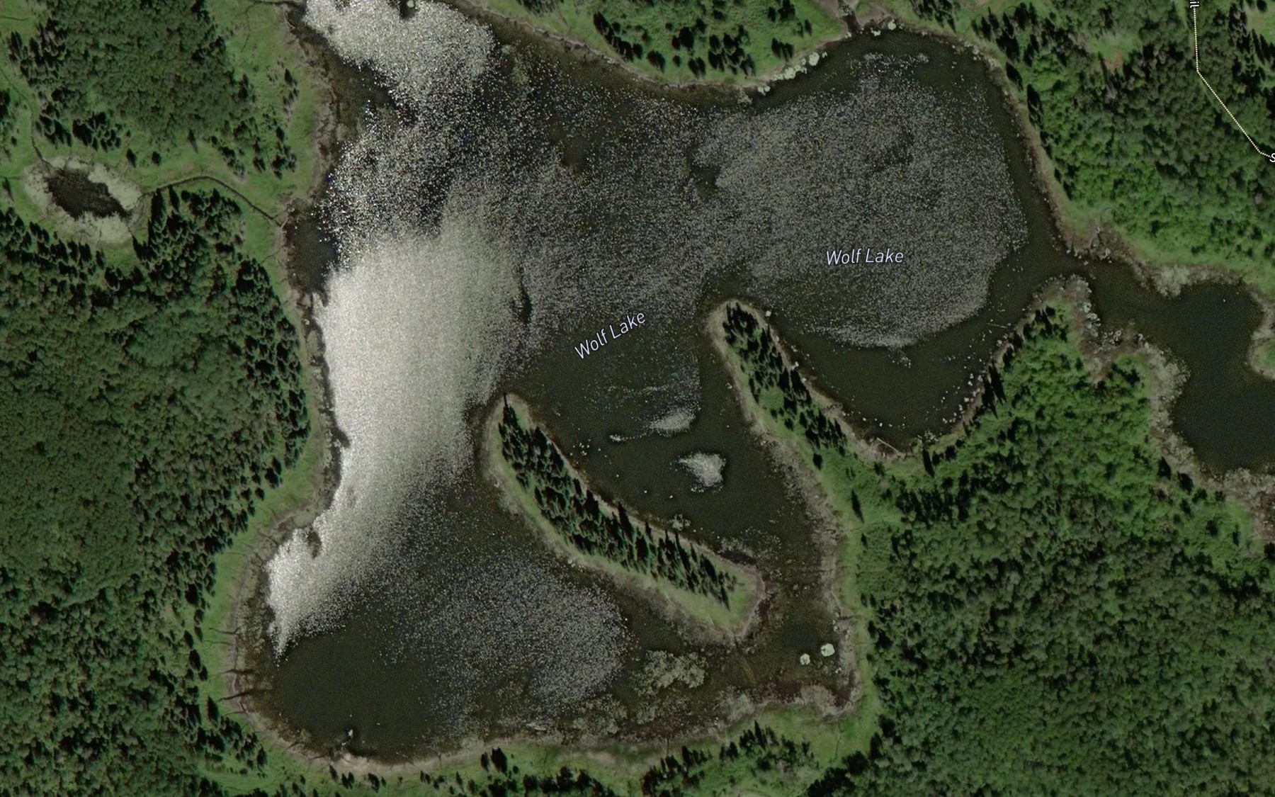 Satellite map of the Wolf Lake