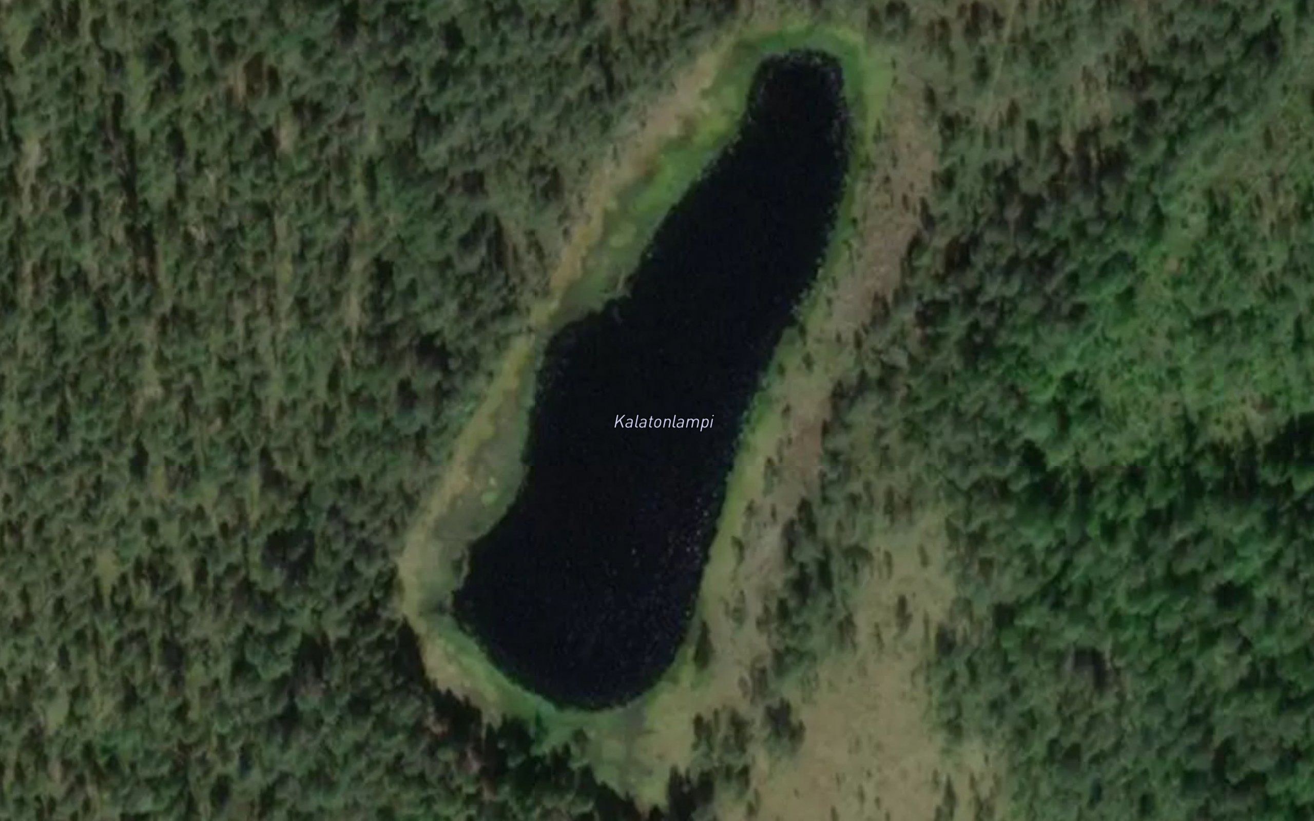 Kalatonlampi