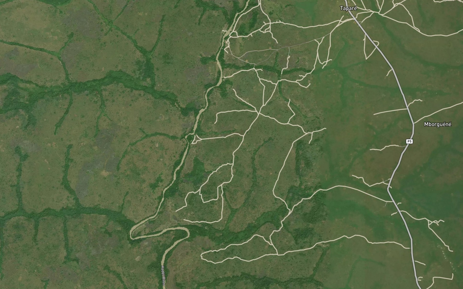 Satellite map of the Biake