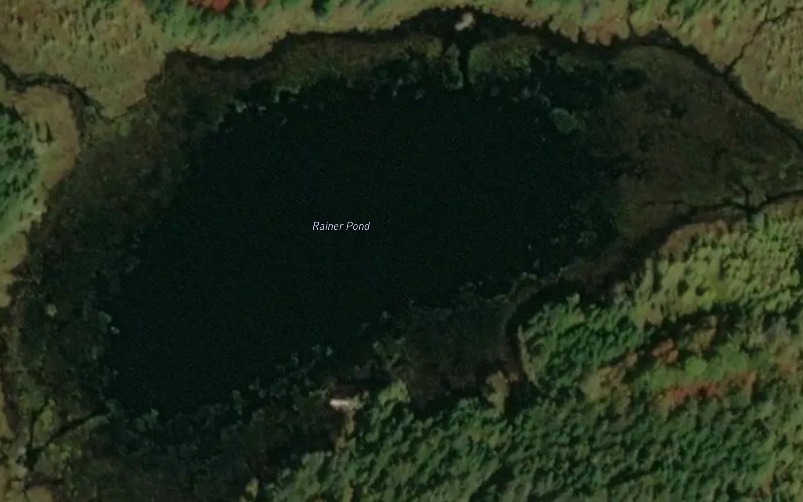 Rainer Pond