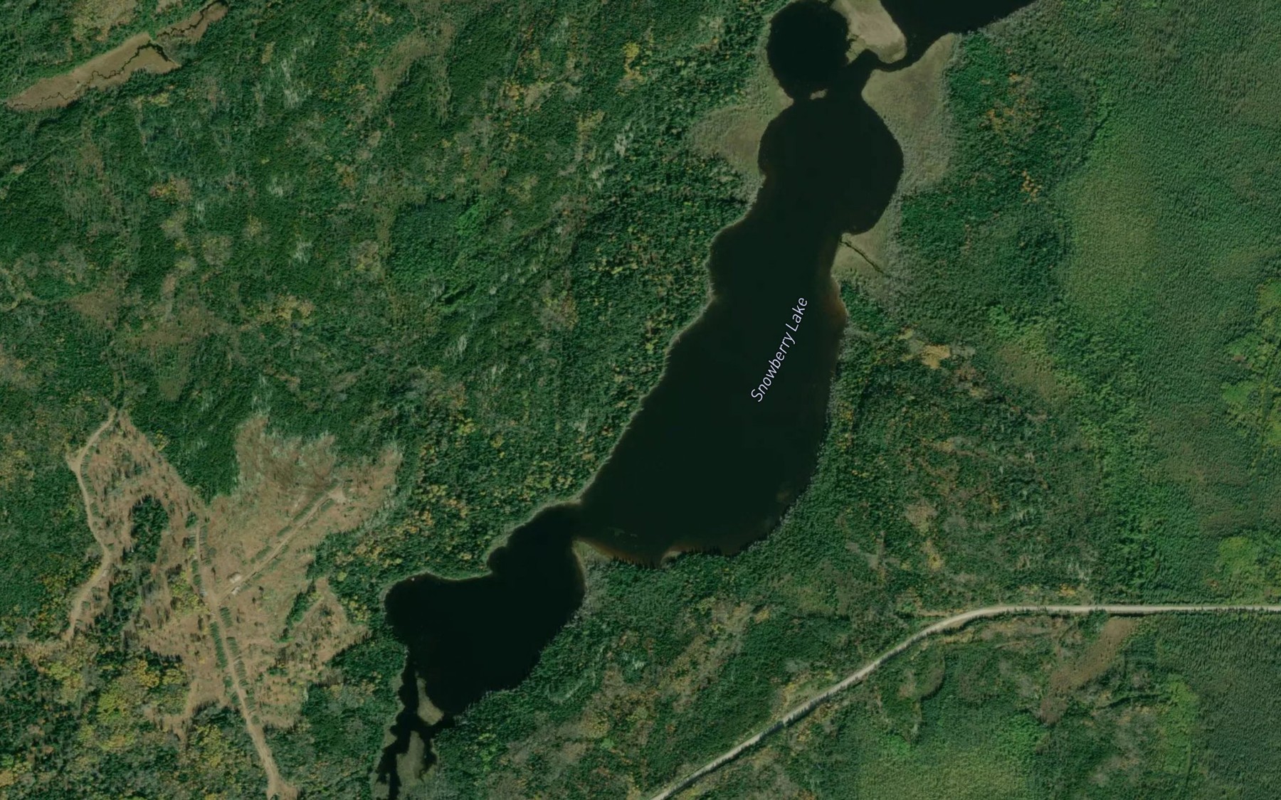 Satellite map of the Snowberry Lake
