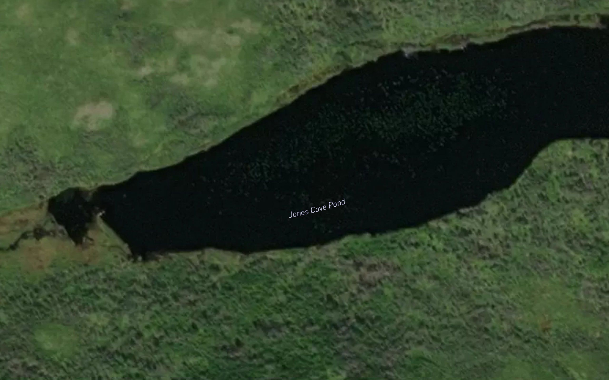 Jones Cove Pond
