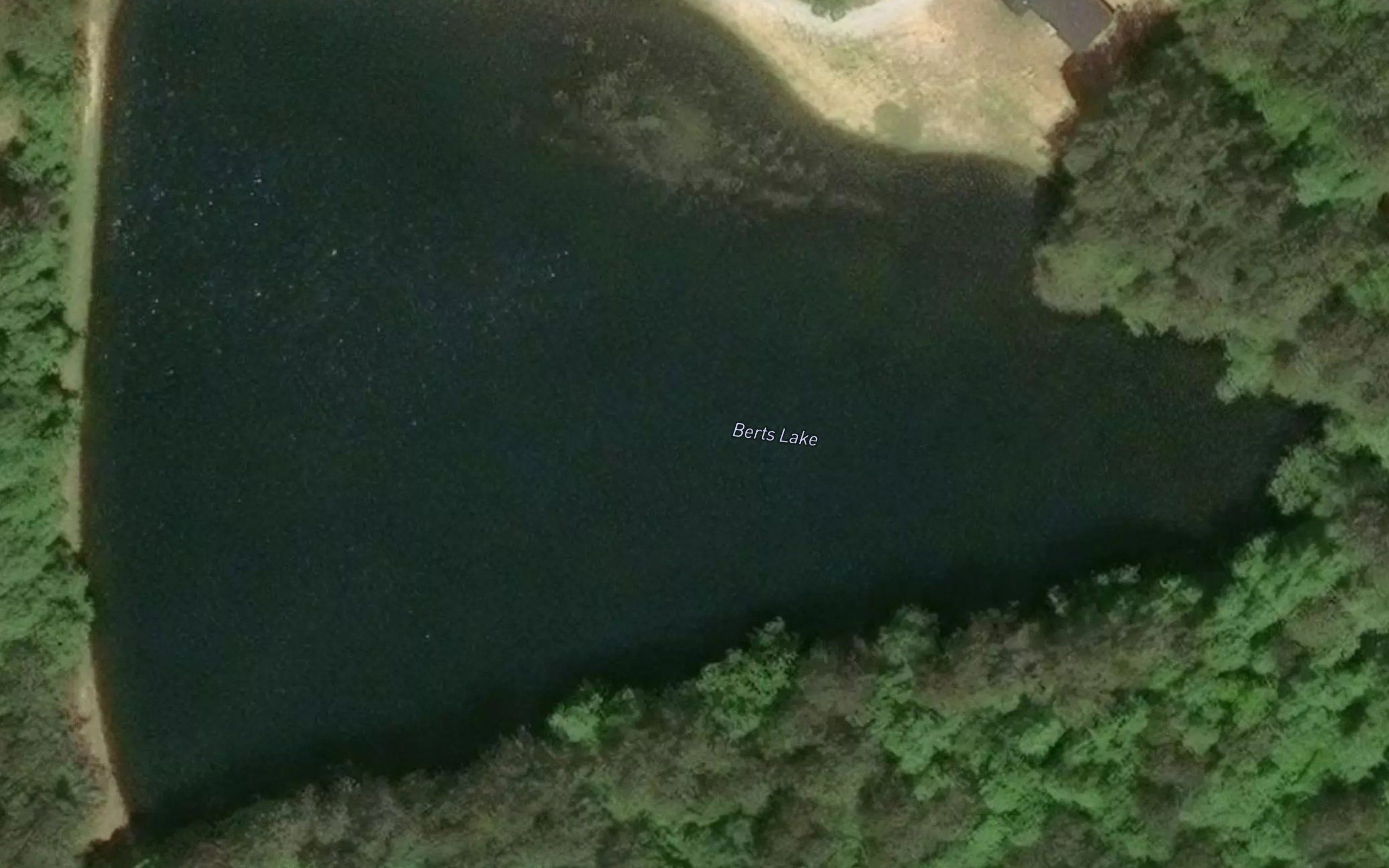 Berts Lake