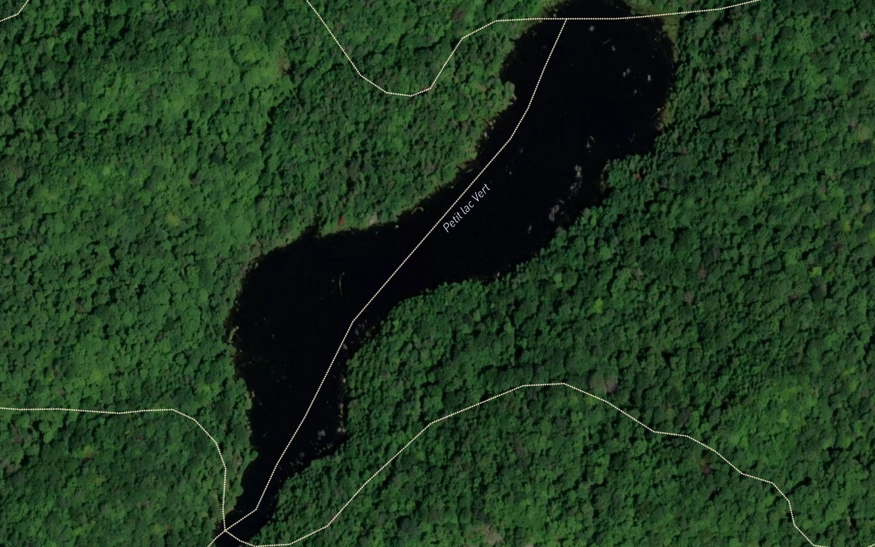Satellite map of the Petit lac Vert