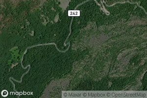 Frog Camp Creek