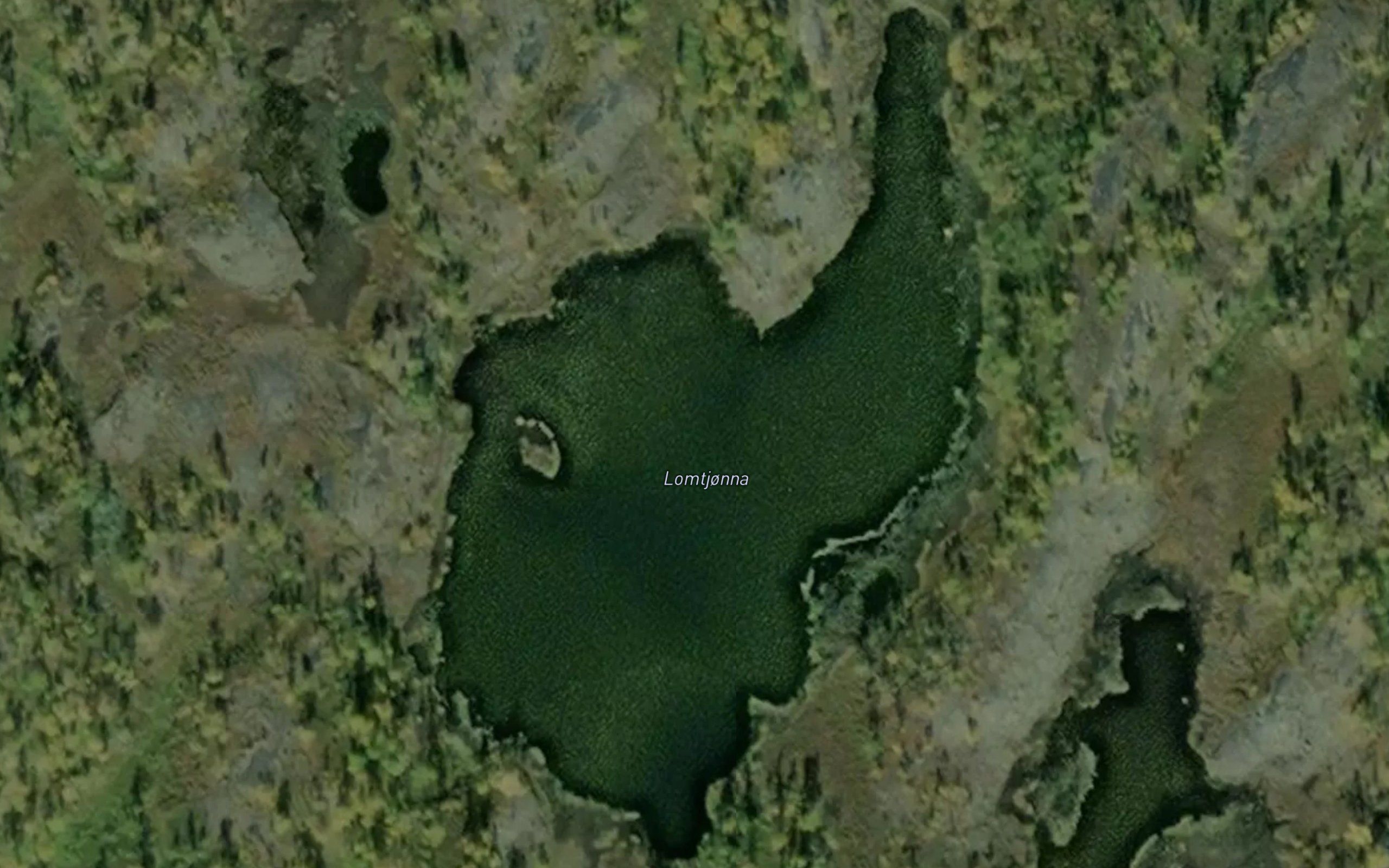 Lomvasstjonna