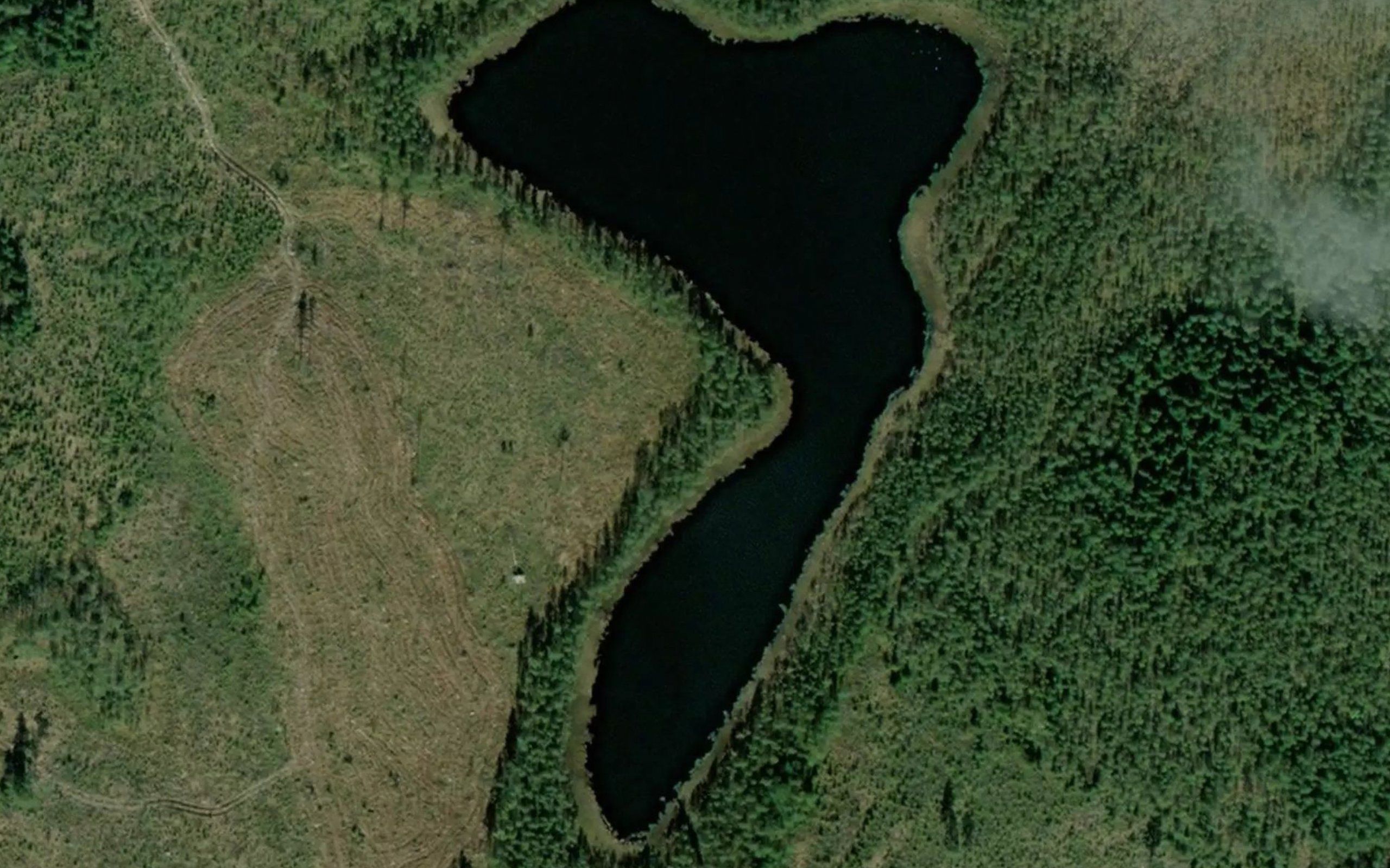 Haukilampi