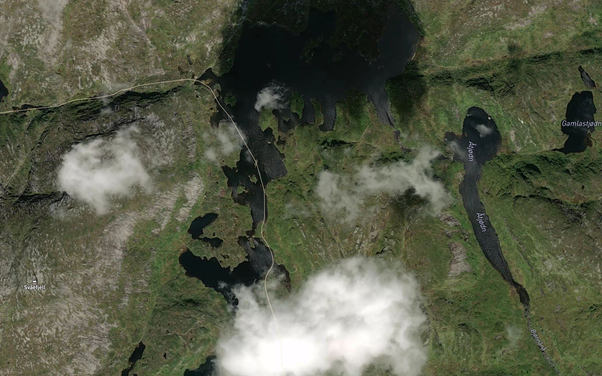 Dygratjorn,stora