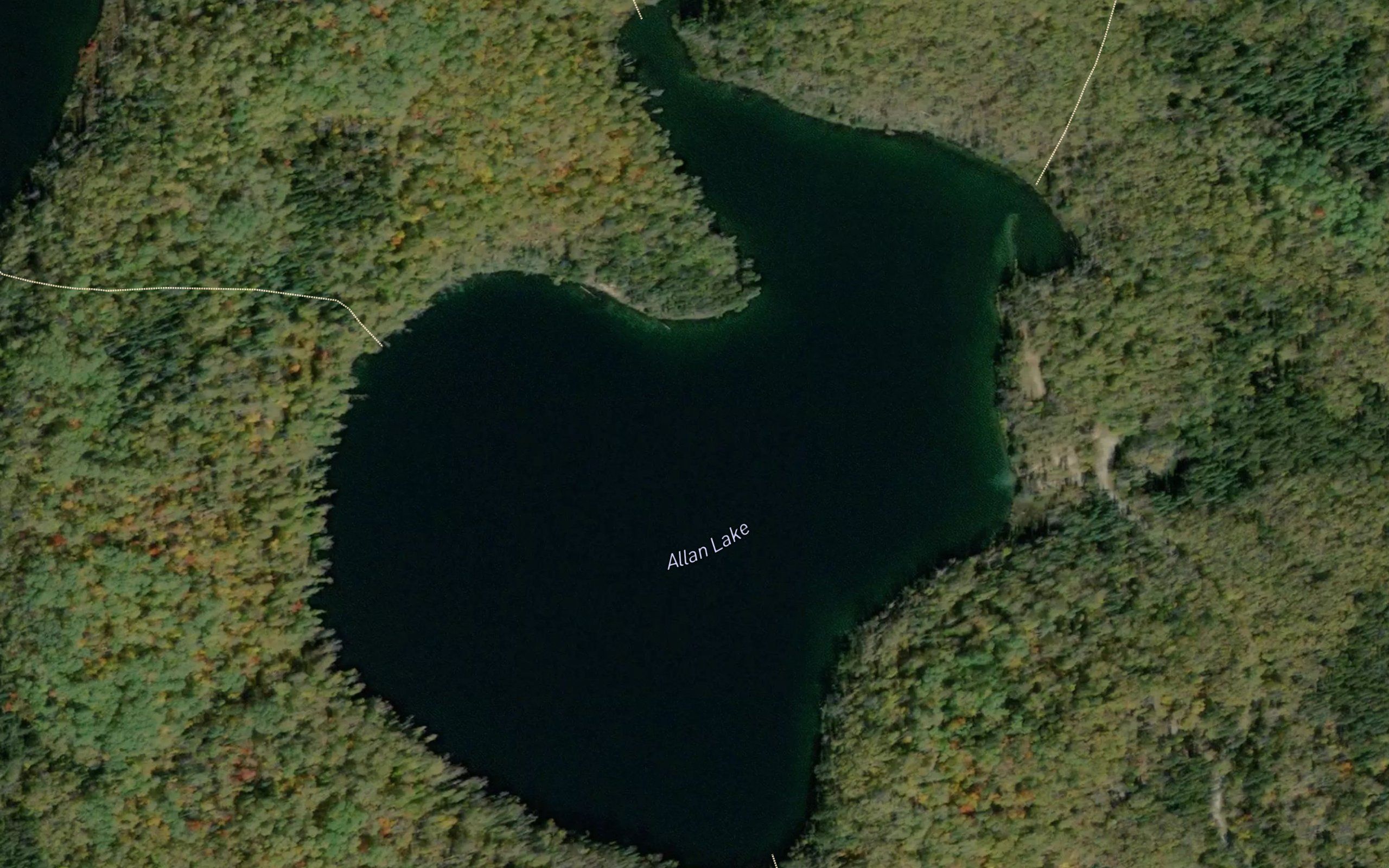 Allan Lake