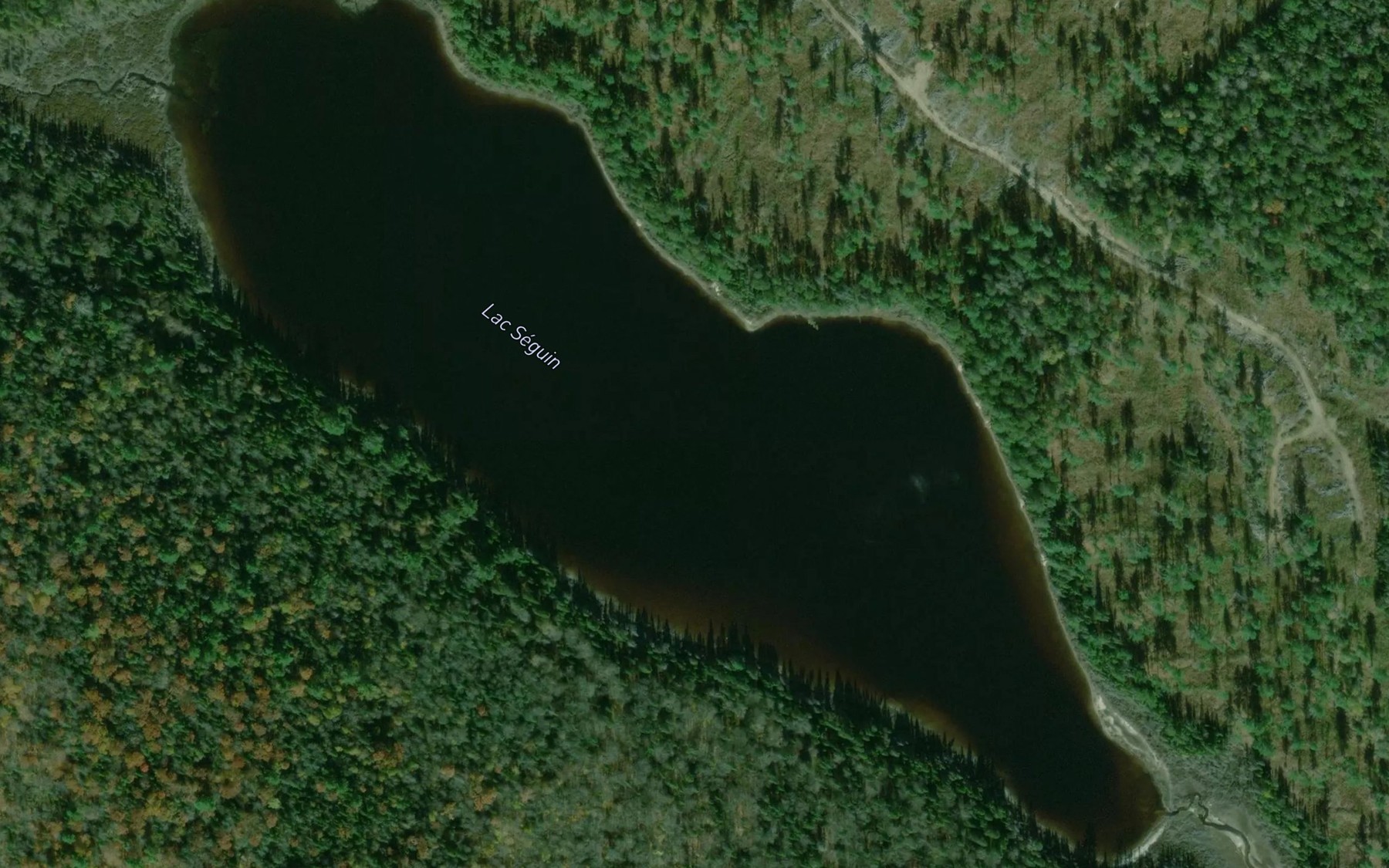 Satellite map of the Lac Seguin