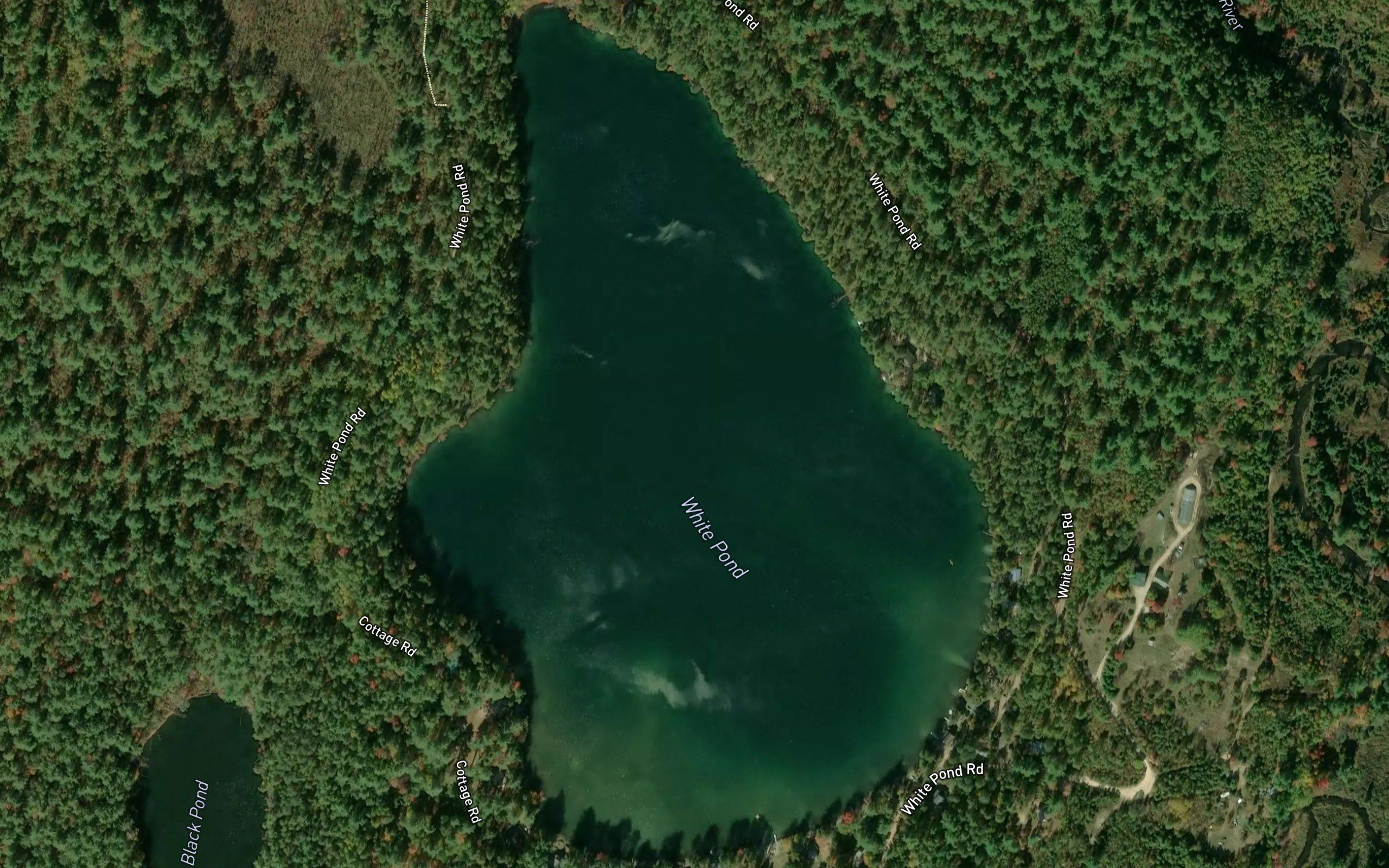 White Pond