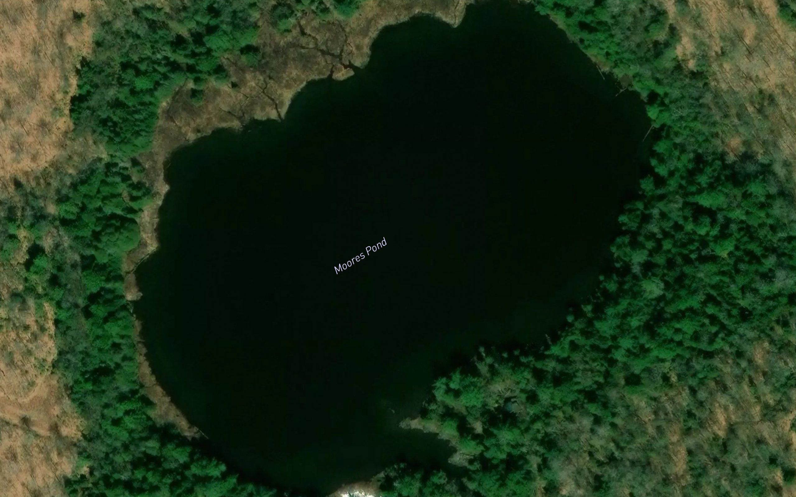 Moores Pond