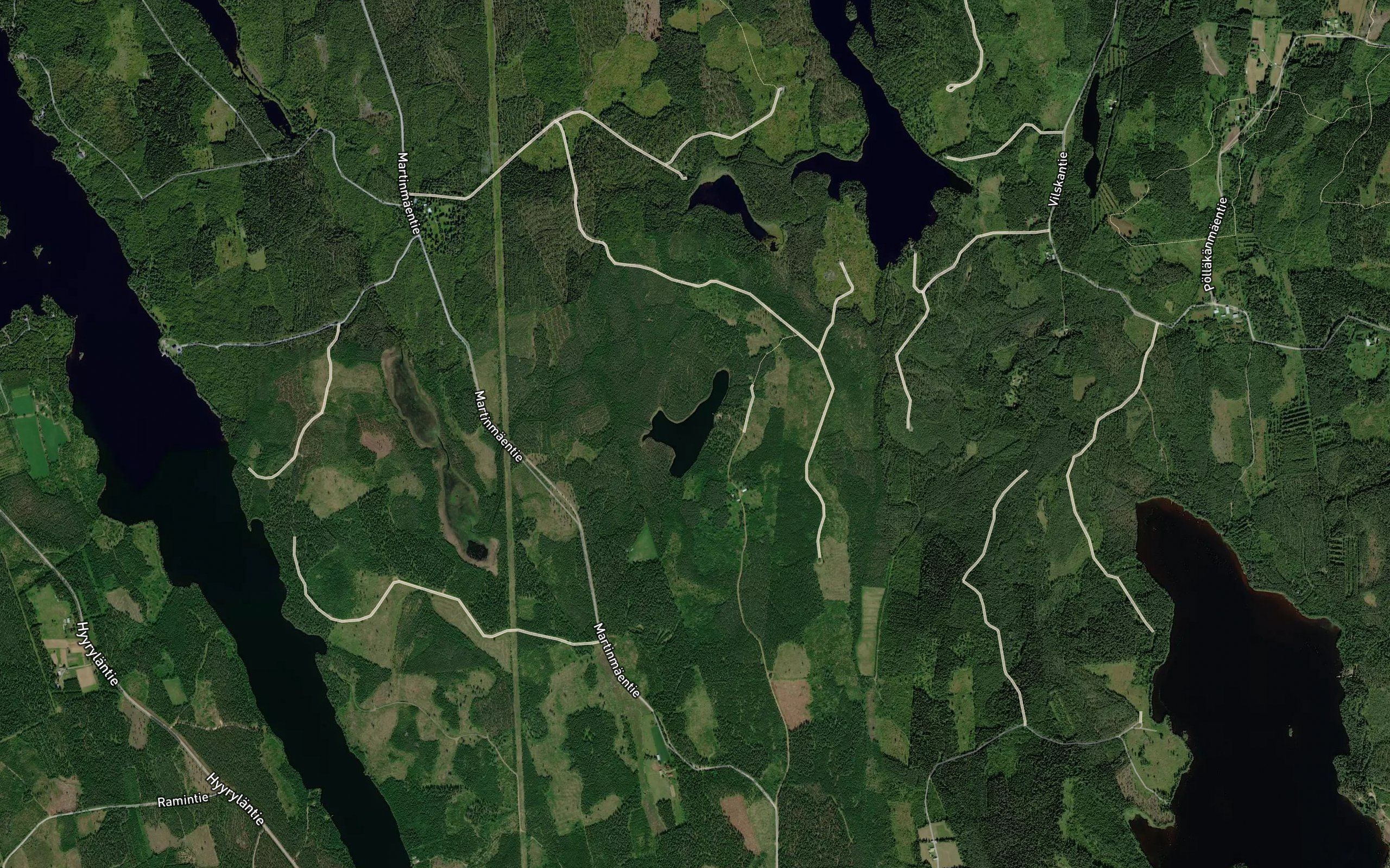 Ruokosenlampi