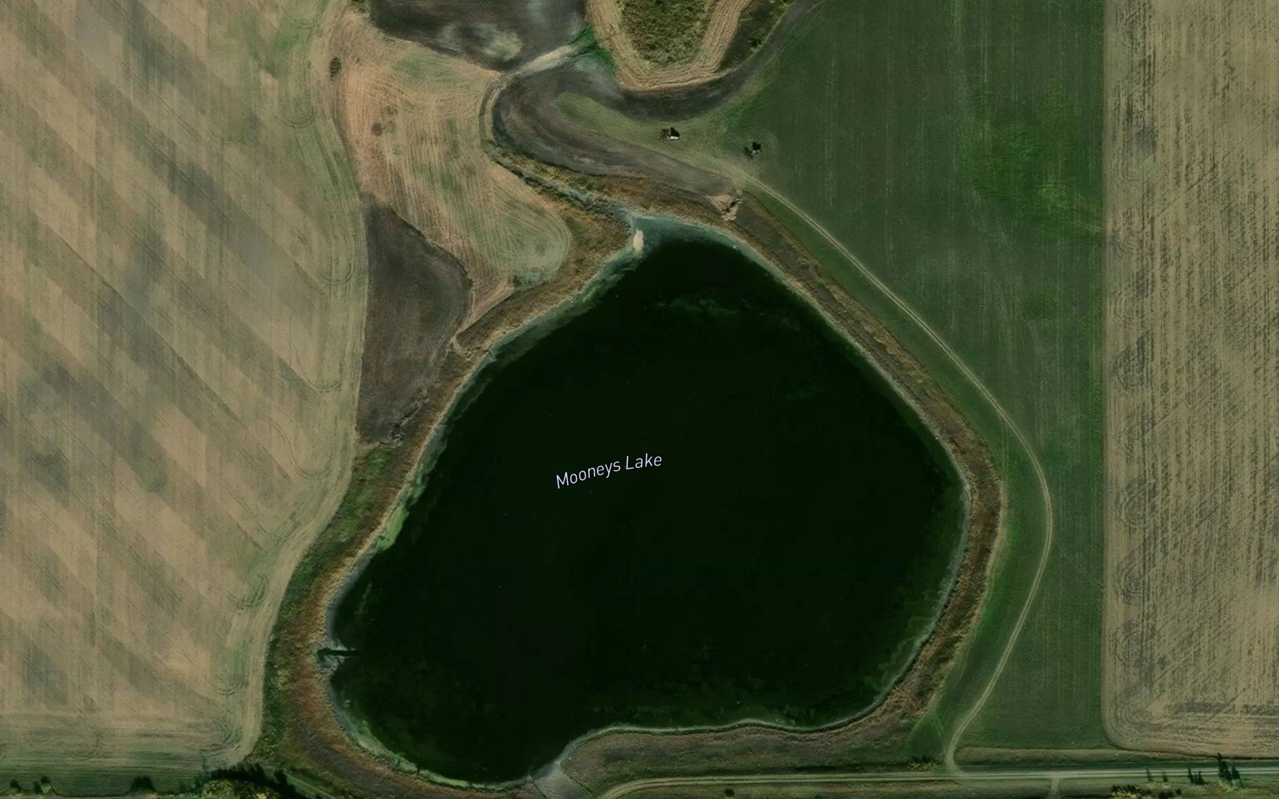 Mooneys Lake