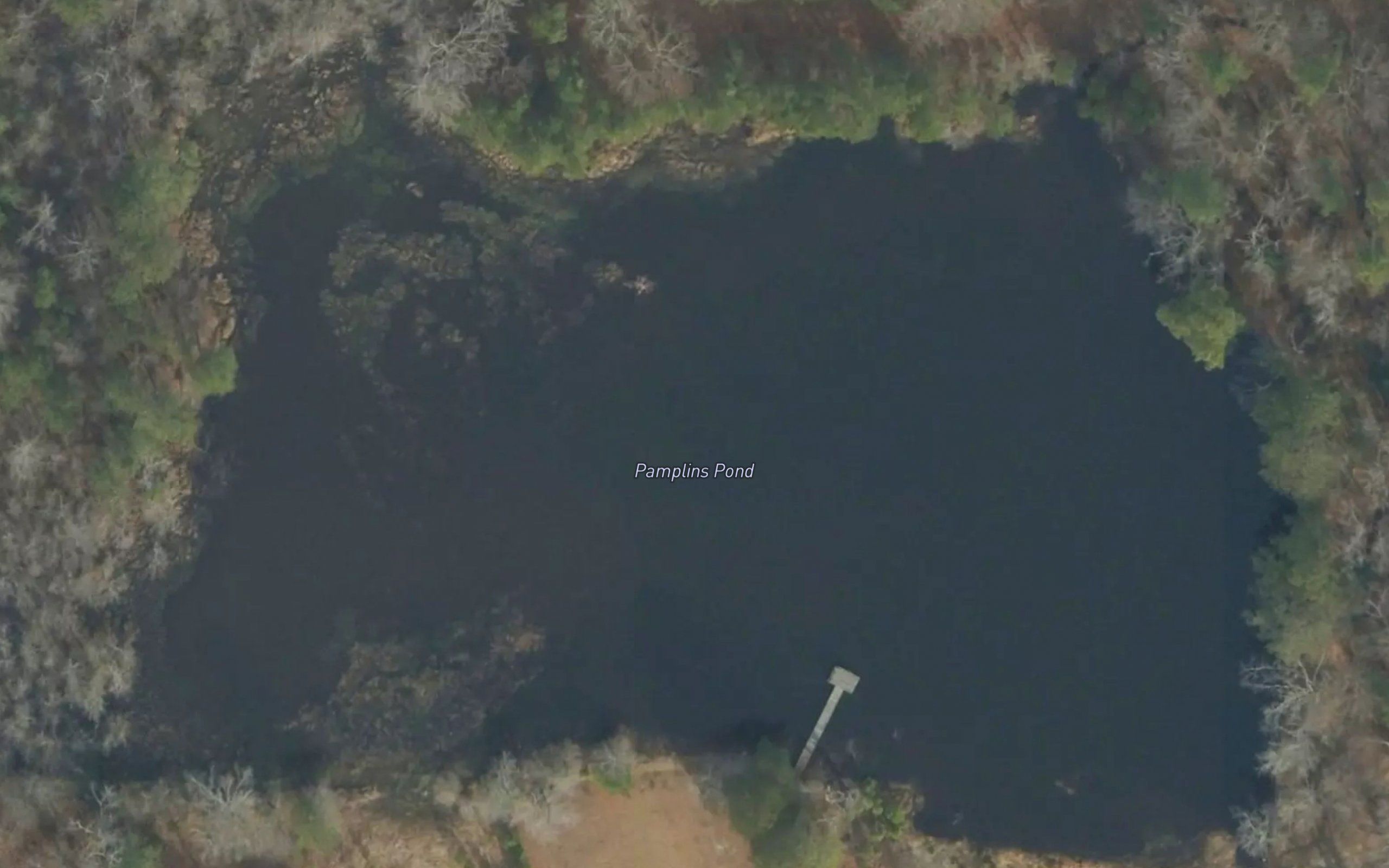 Pamplins Pond