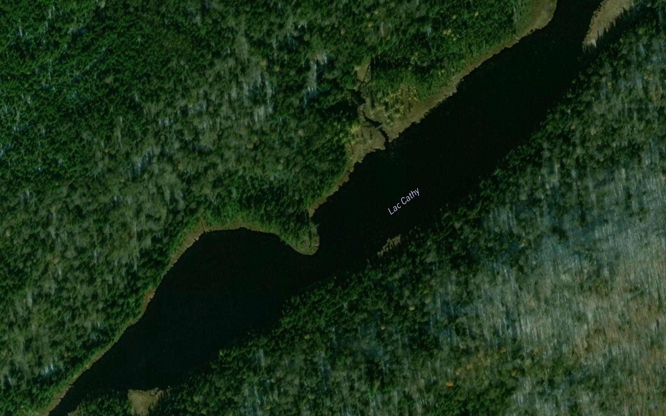 Lac Cathy