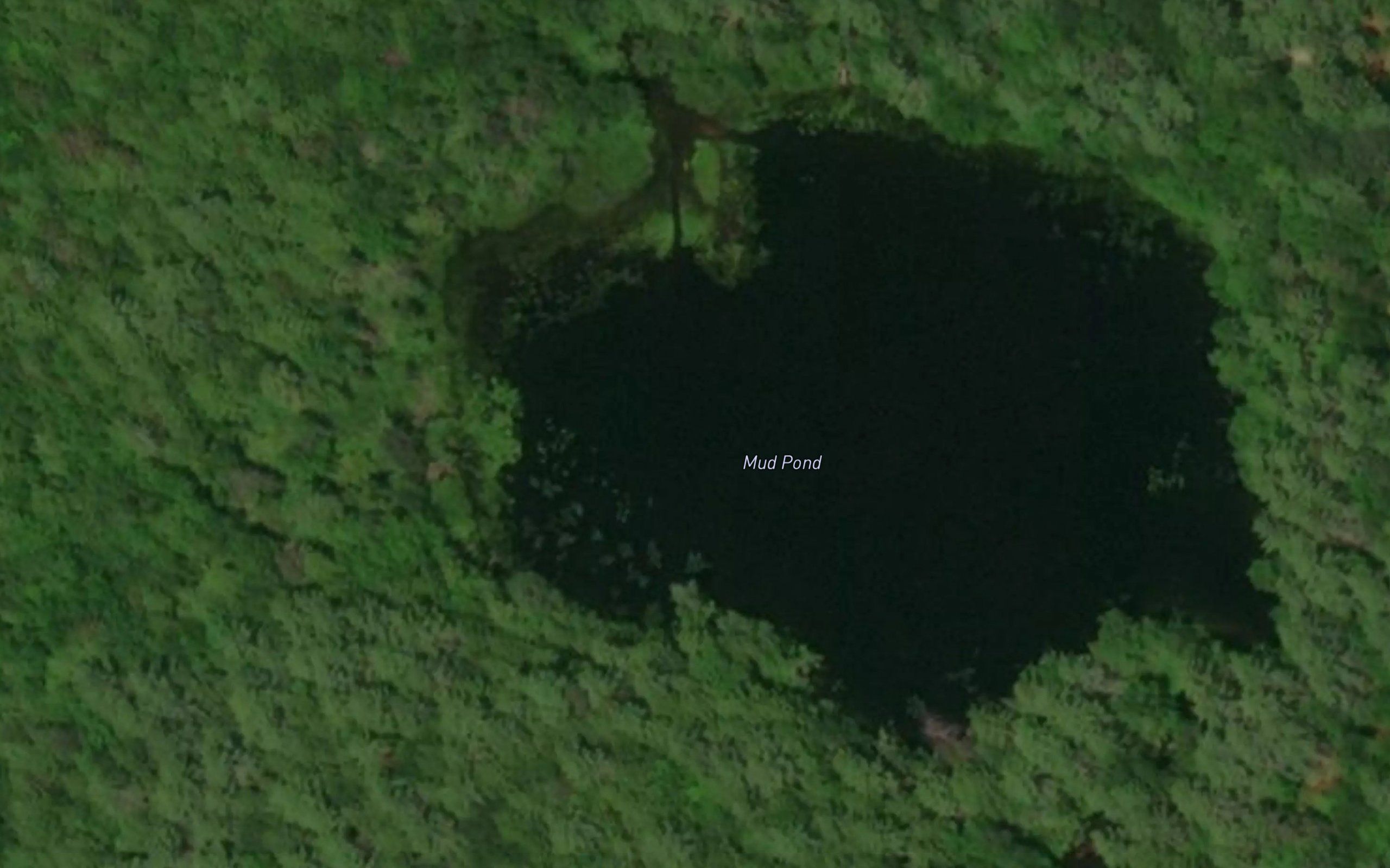 Mud Pond