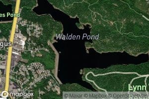 Walden Pond