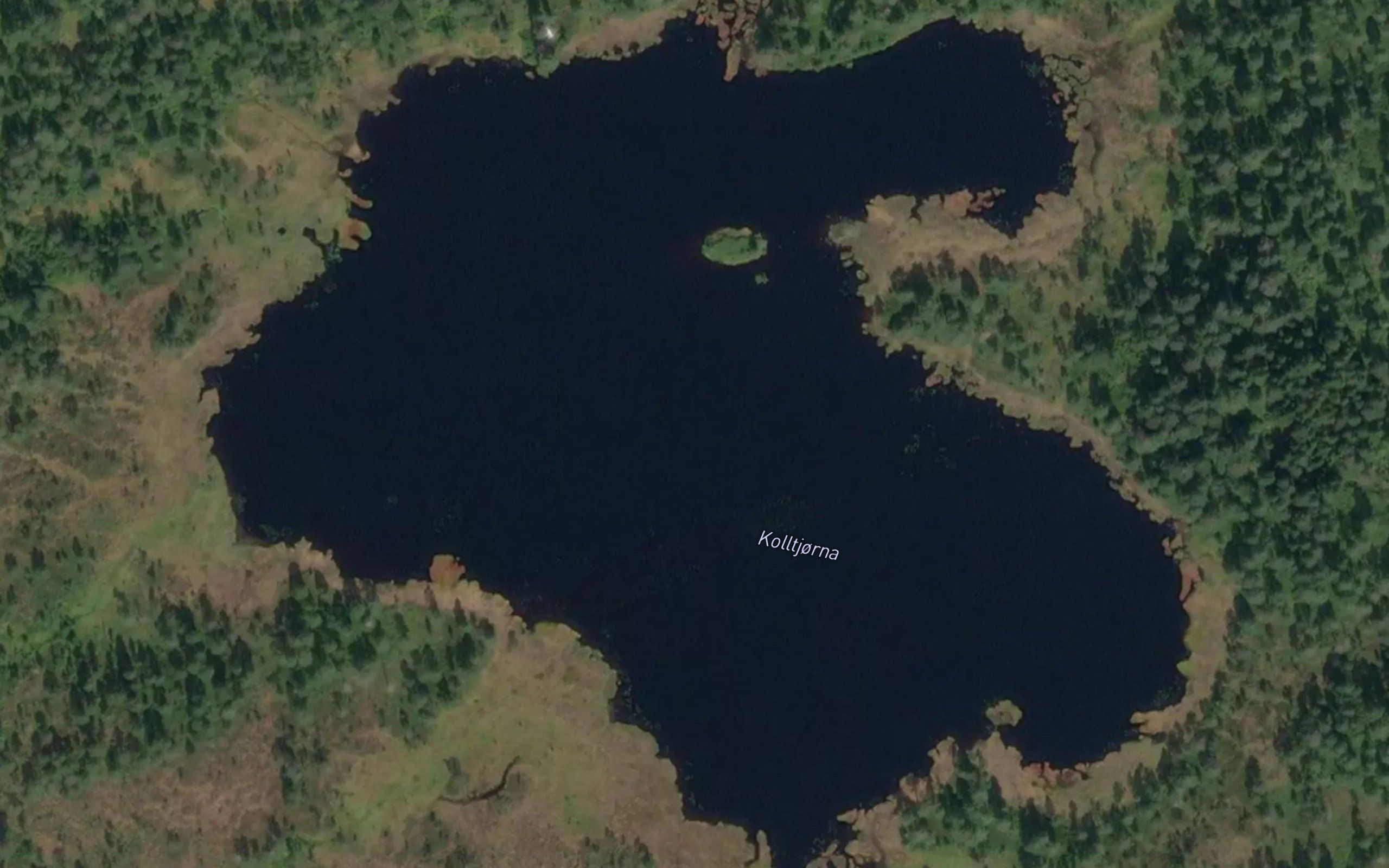 Kolltjorna