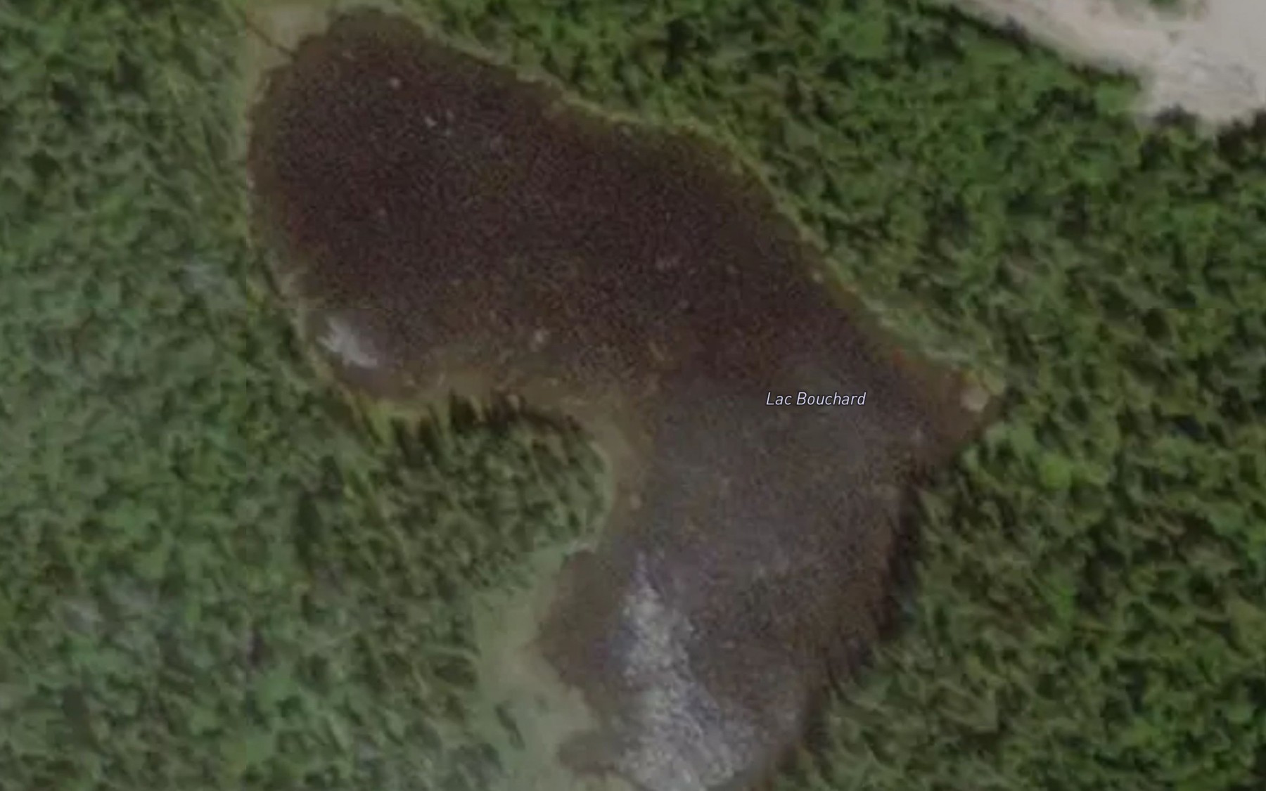 Satellite map of the Lac Bouchard