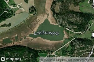 Leiskunsyva