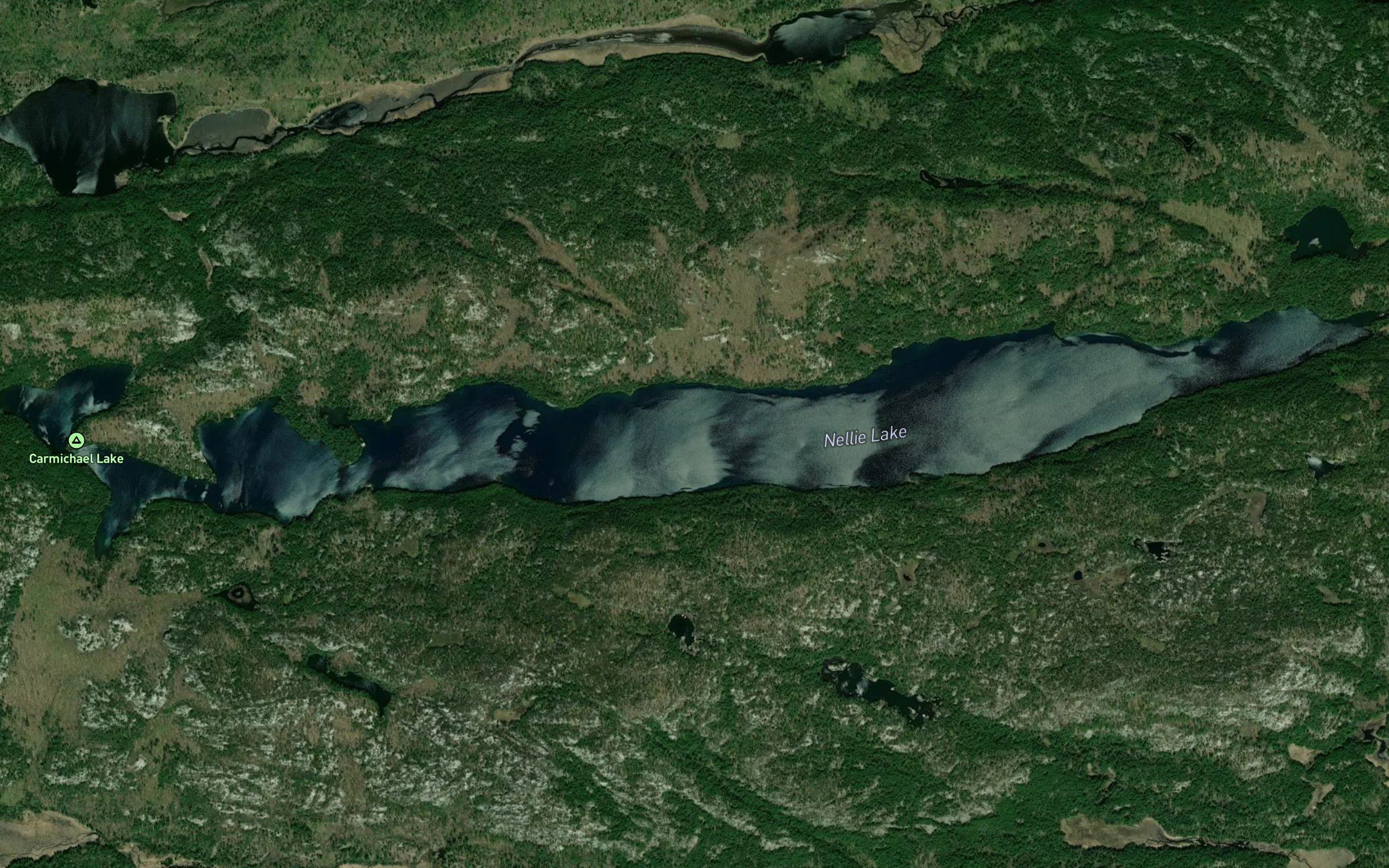 Nellie Lake