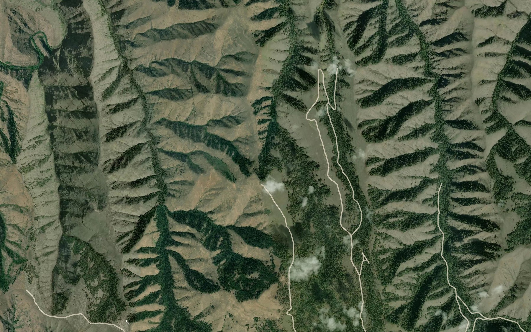 Satellite map of the Tamarack Creek Spring