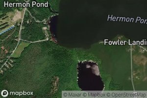 Satellite map of the Patten Stream