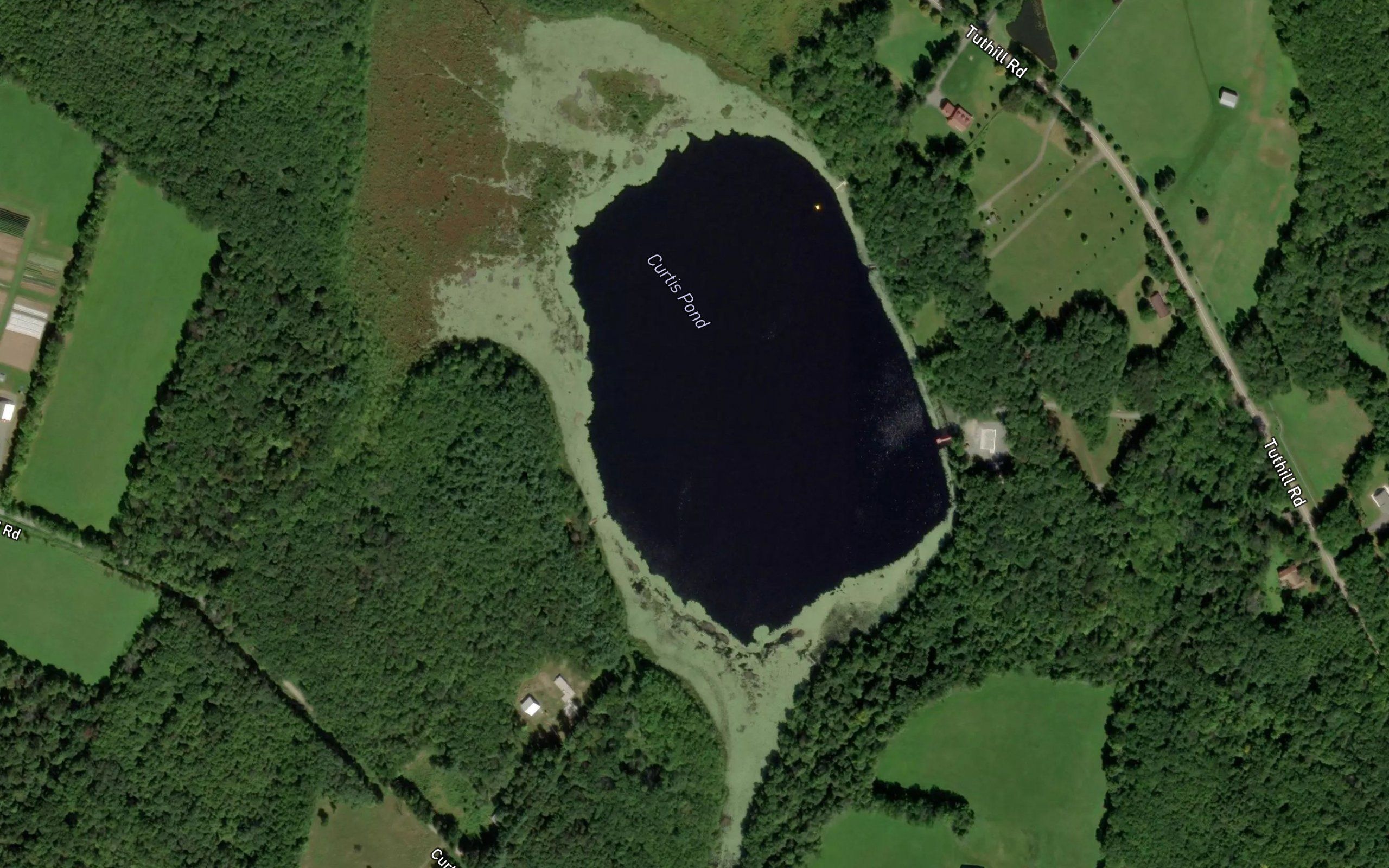 Curtis Pond
