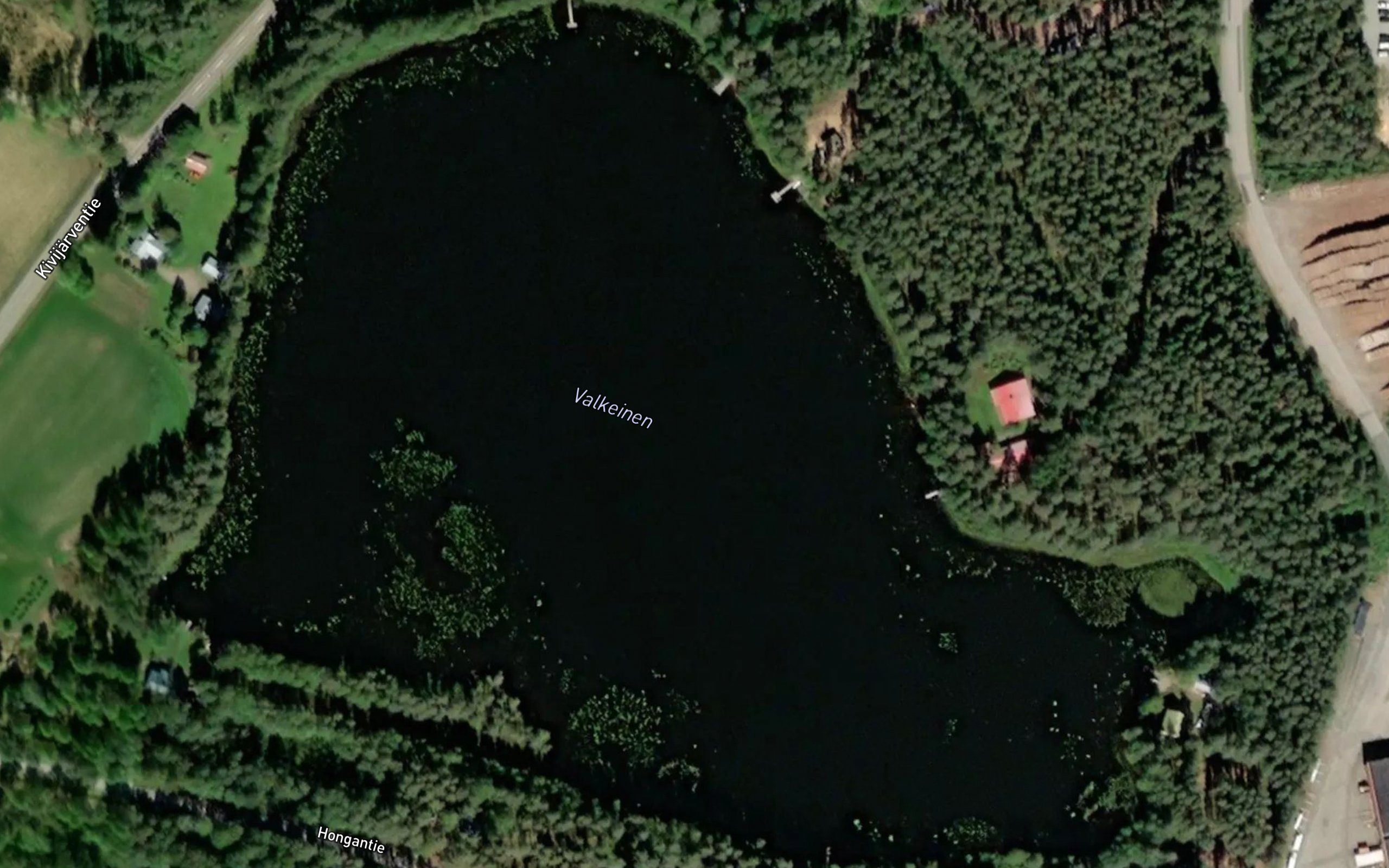 Valkeinen