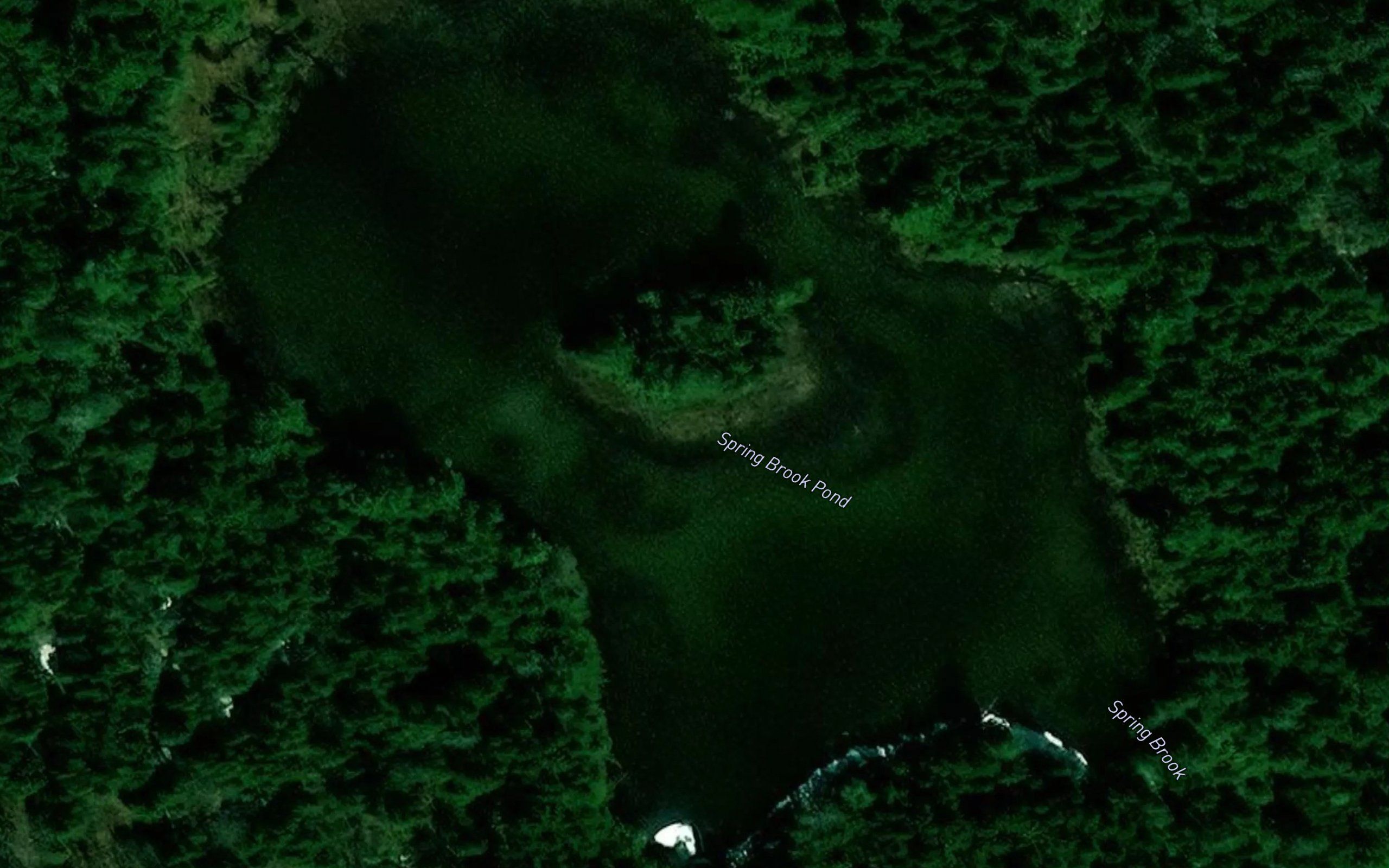 Spring Brook Pond