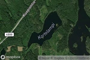 Kortelampi