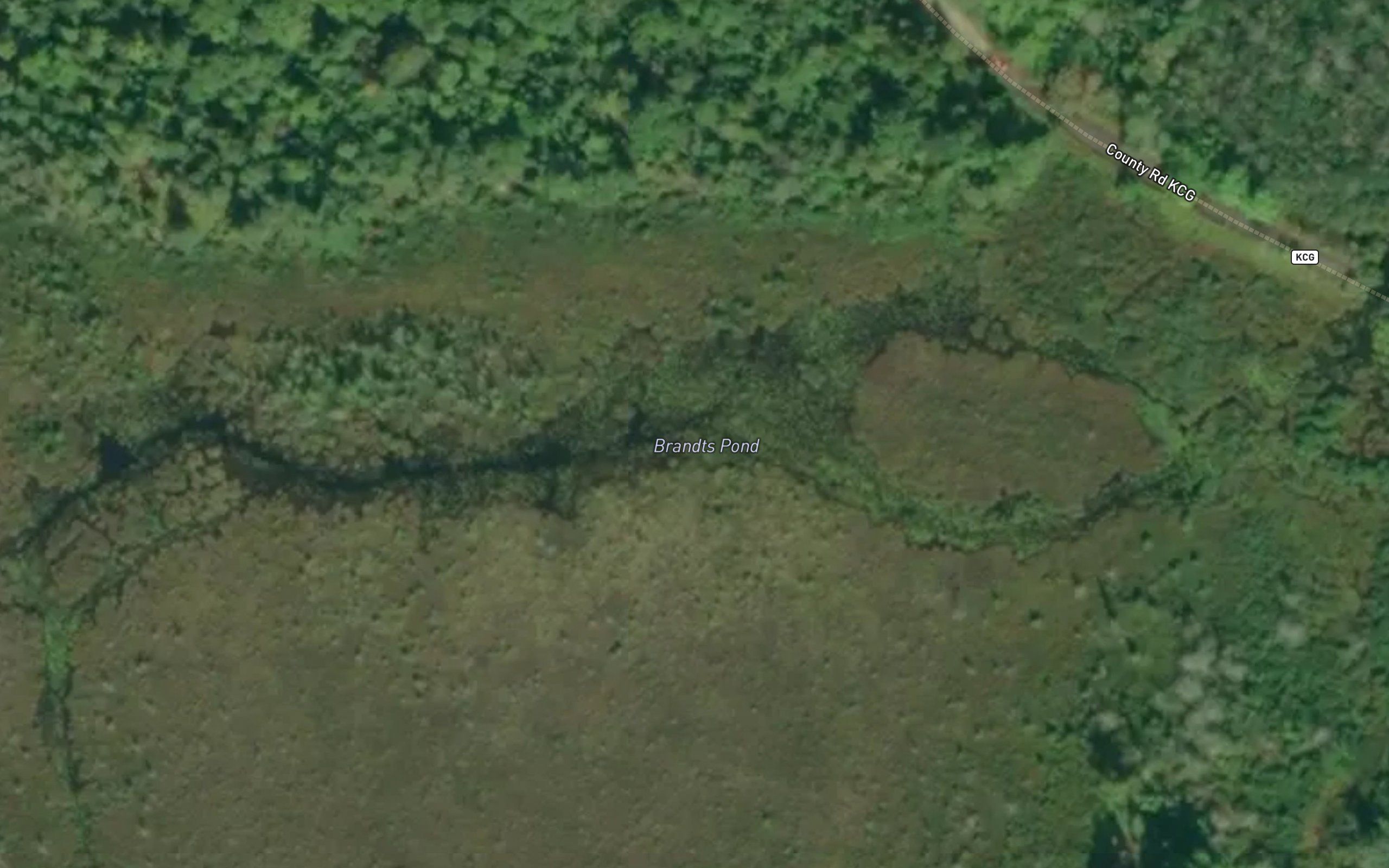 Brandts Pond