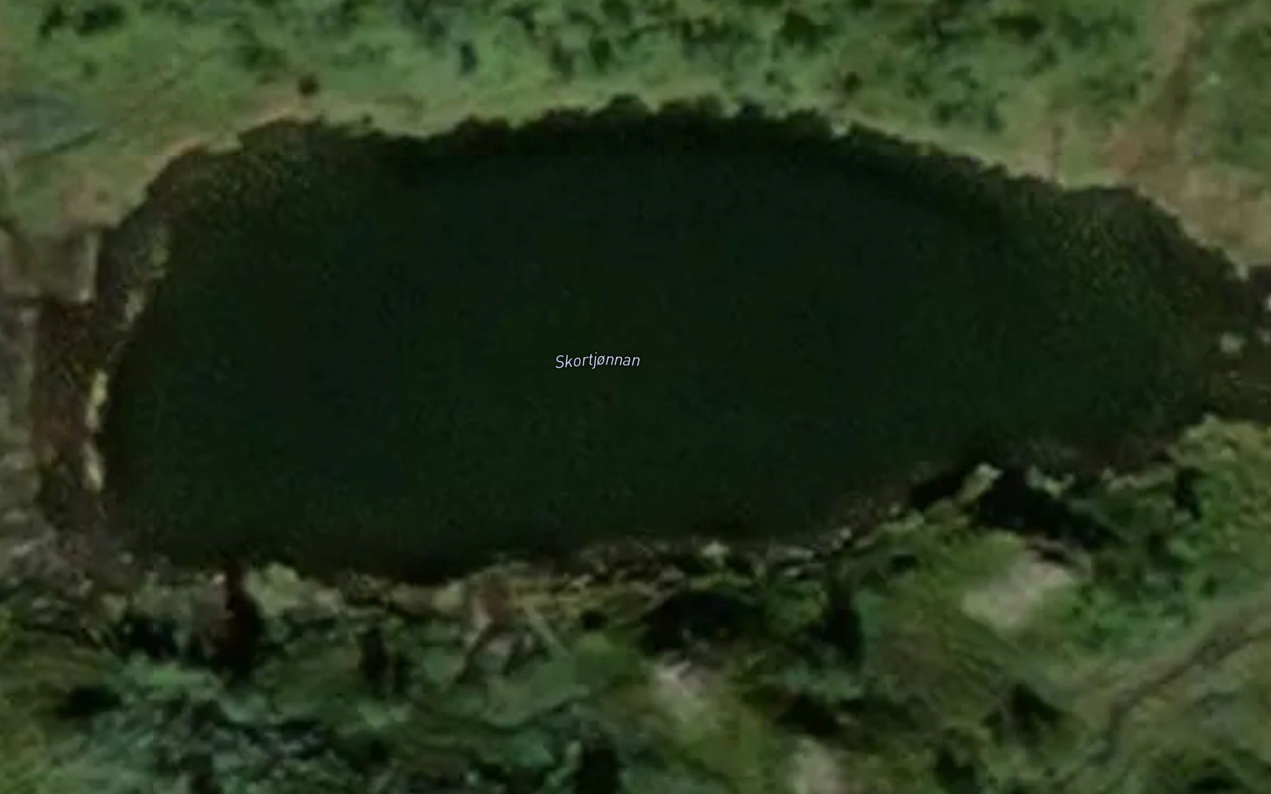Skardtjornane