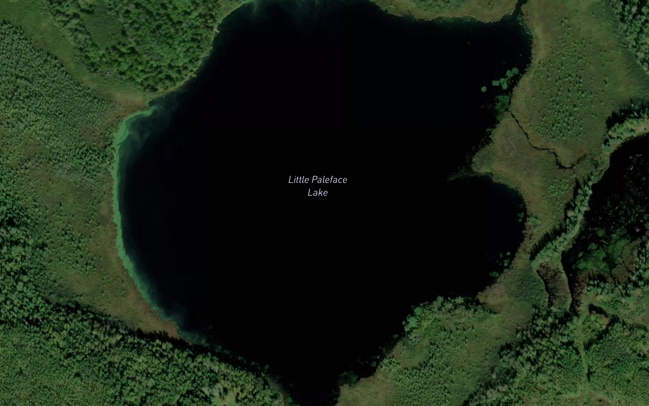 Little Paleface Lake