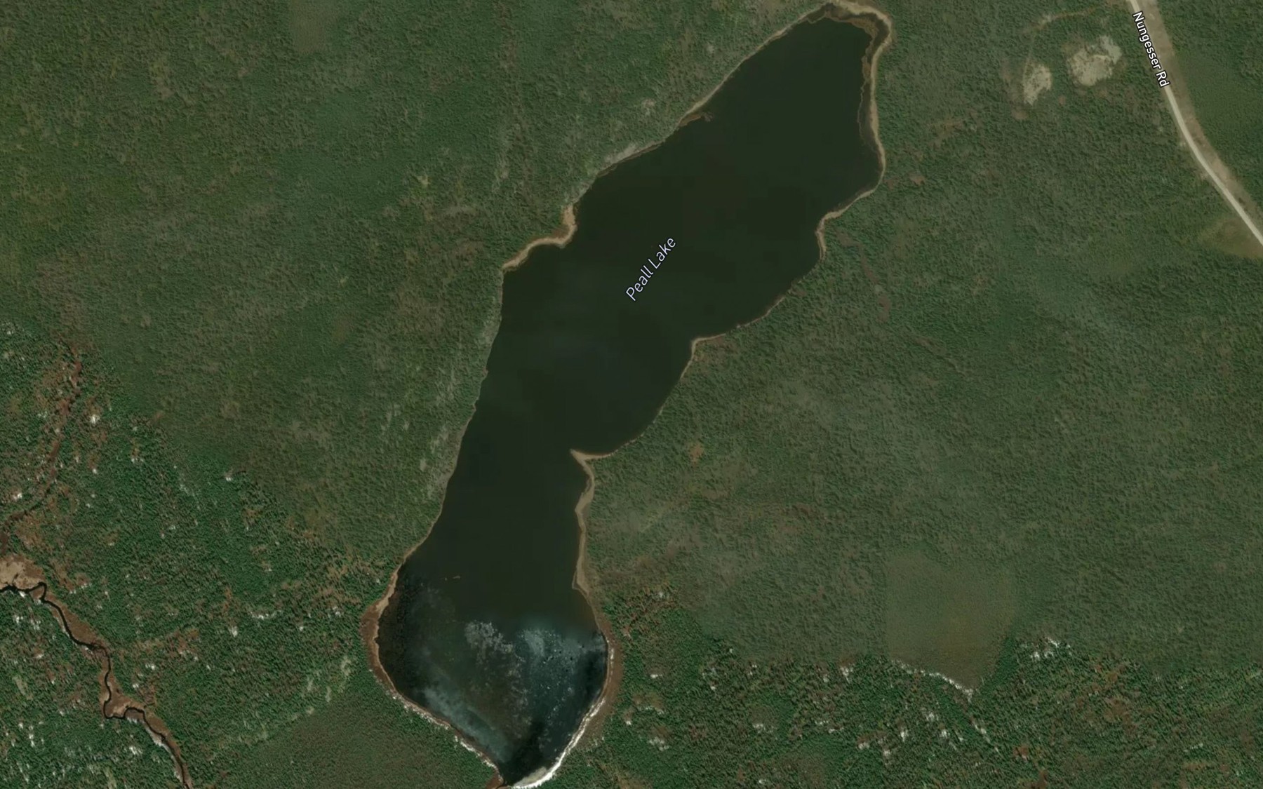 Satellite map of the Peall Lake