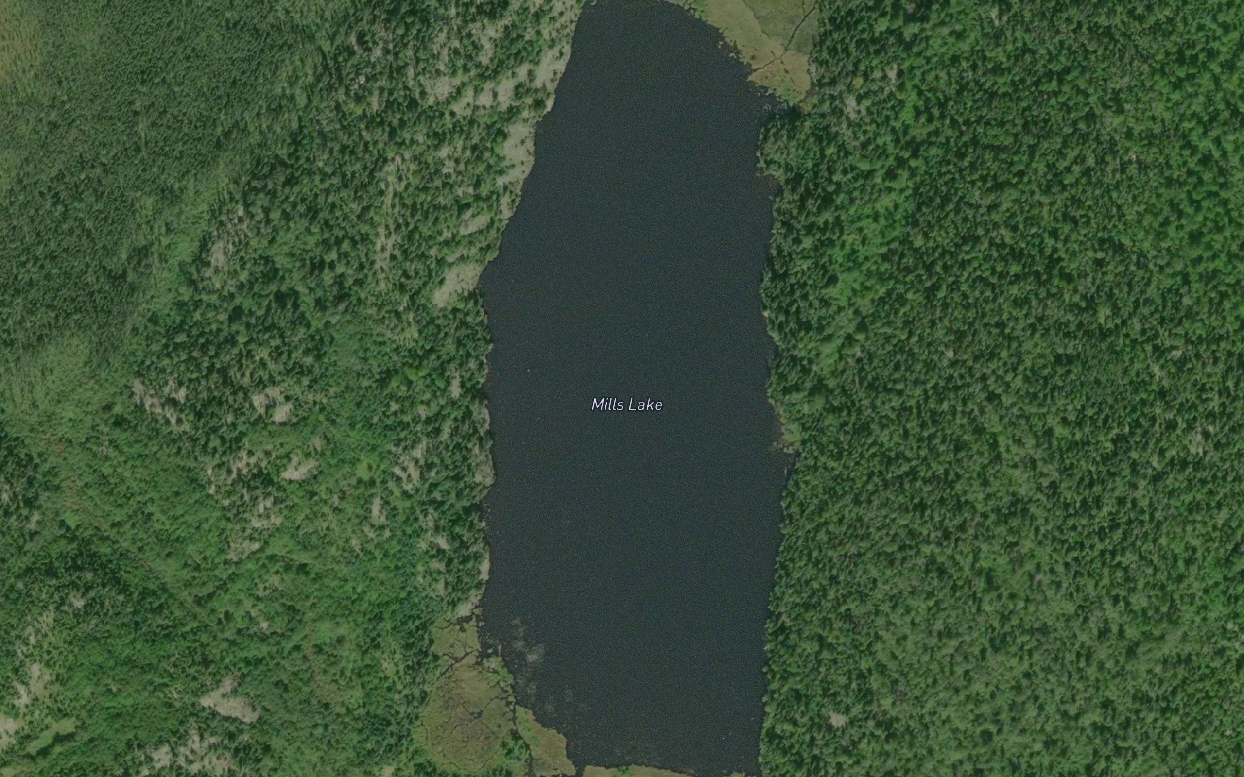 Mills Lake