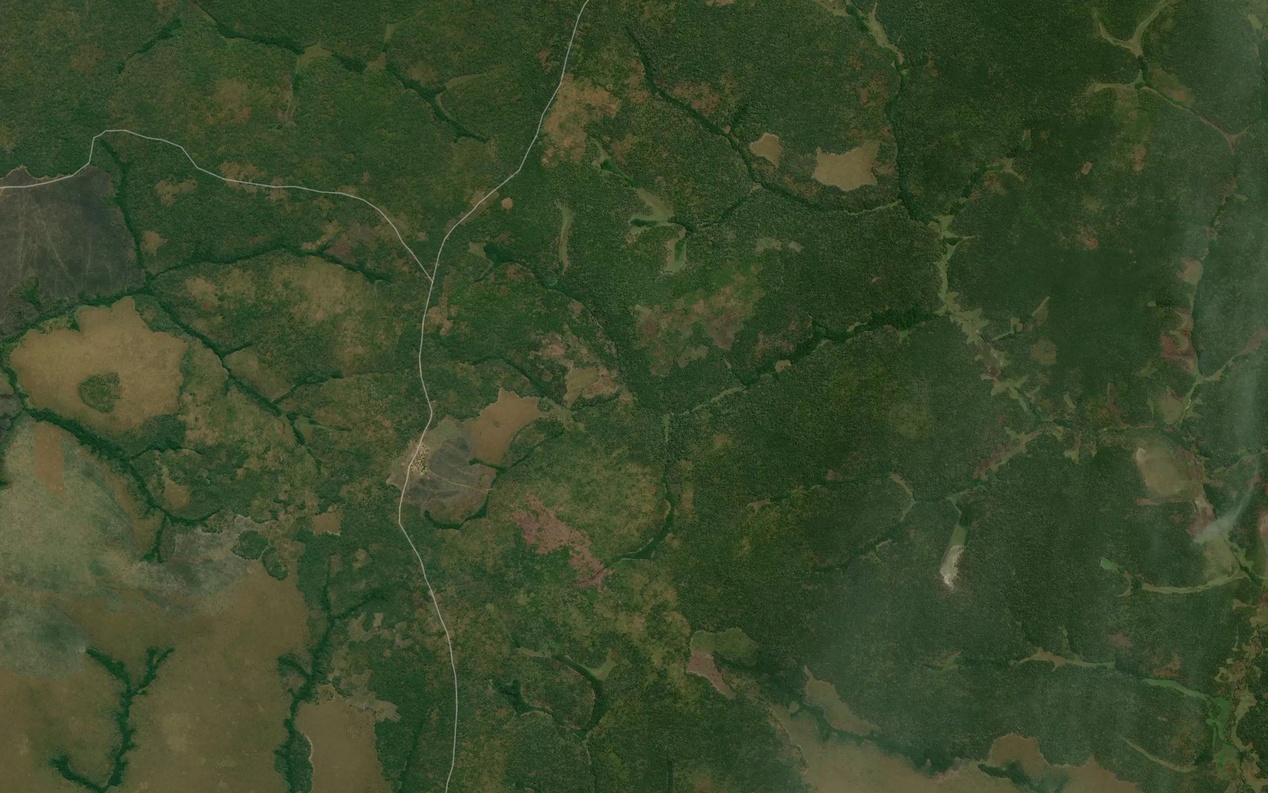 Mbunzi