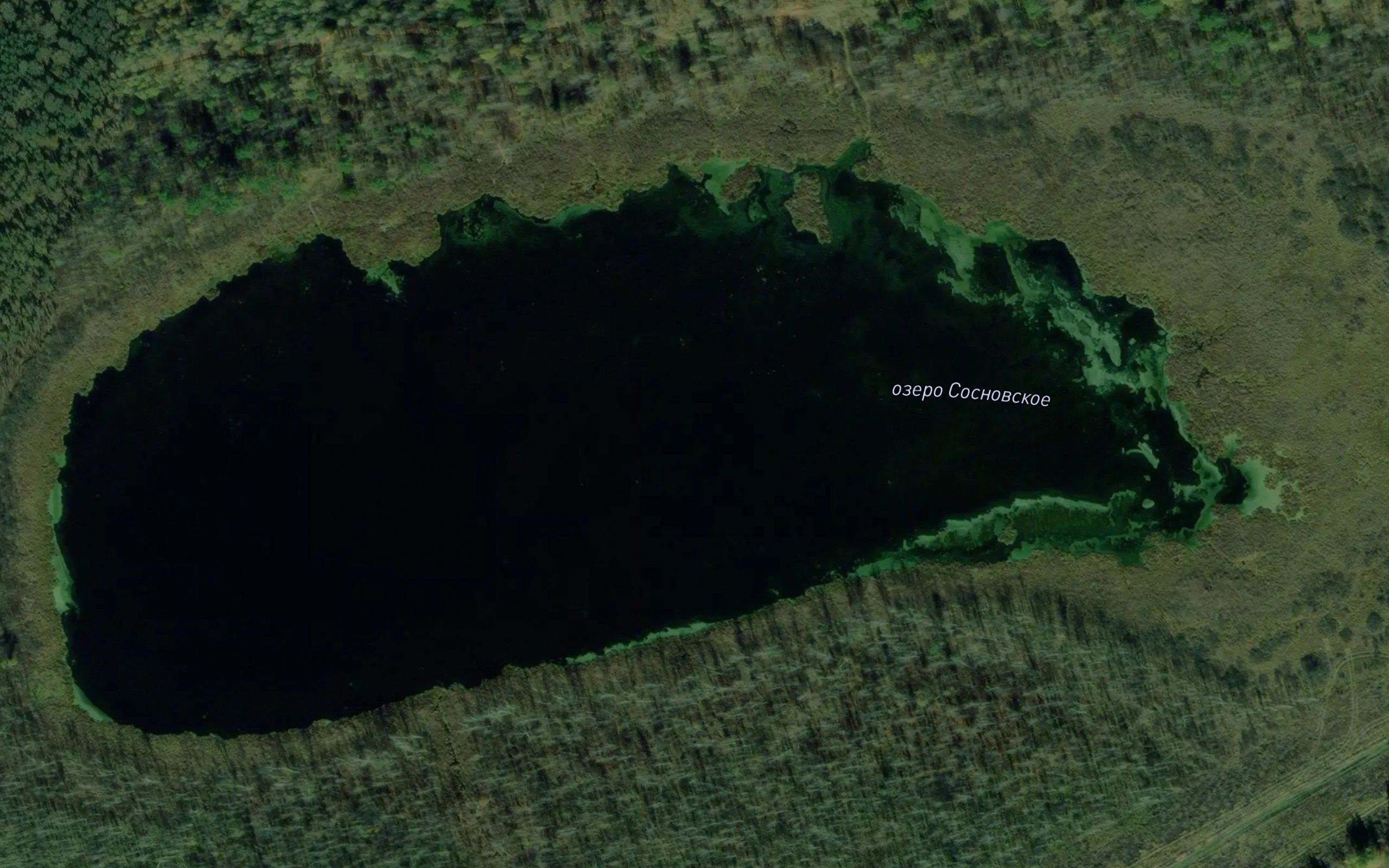 Ozero Sosnovskoye