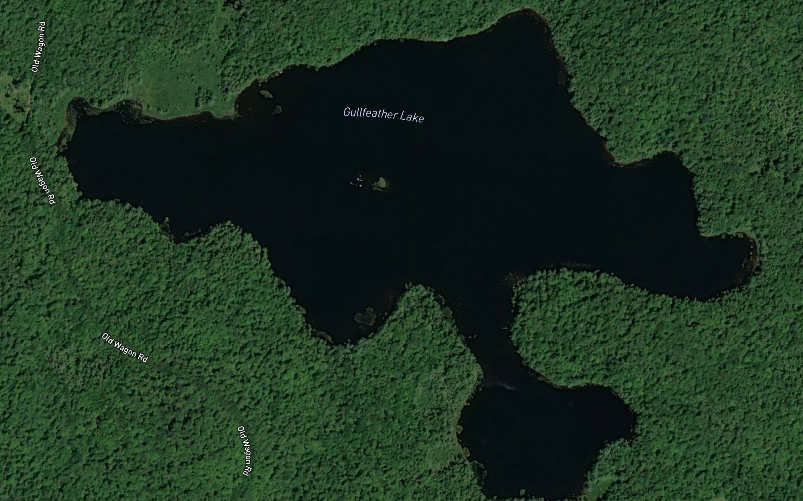 Gullfeather Lake