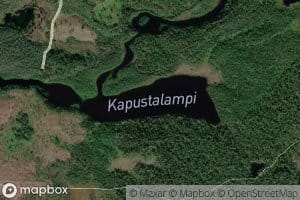 Kapustalampi