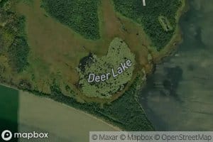 Deer Lake