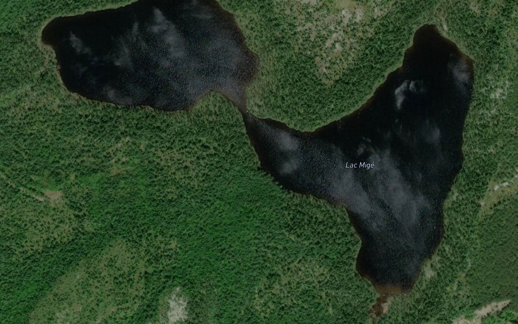 Satellite map of the Lac Mige